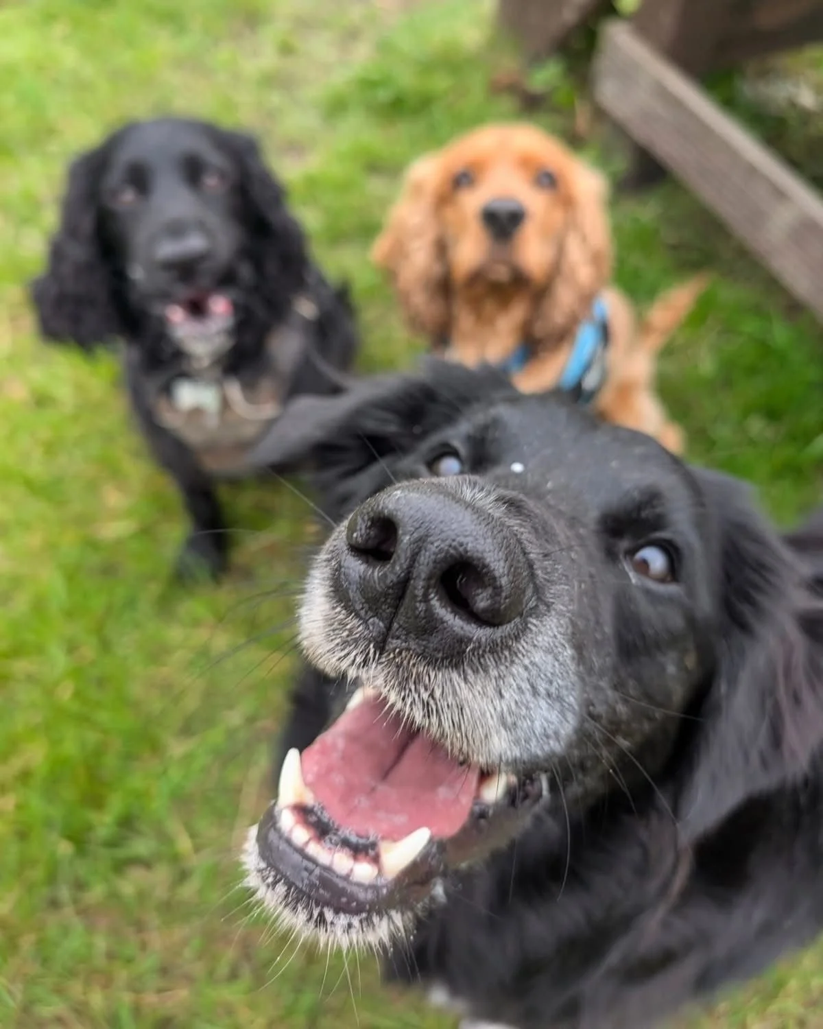 WhatsApp Image 2025-08-19 at 21.32.05_71d50af0.jpg