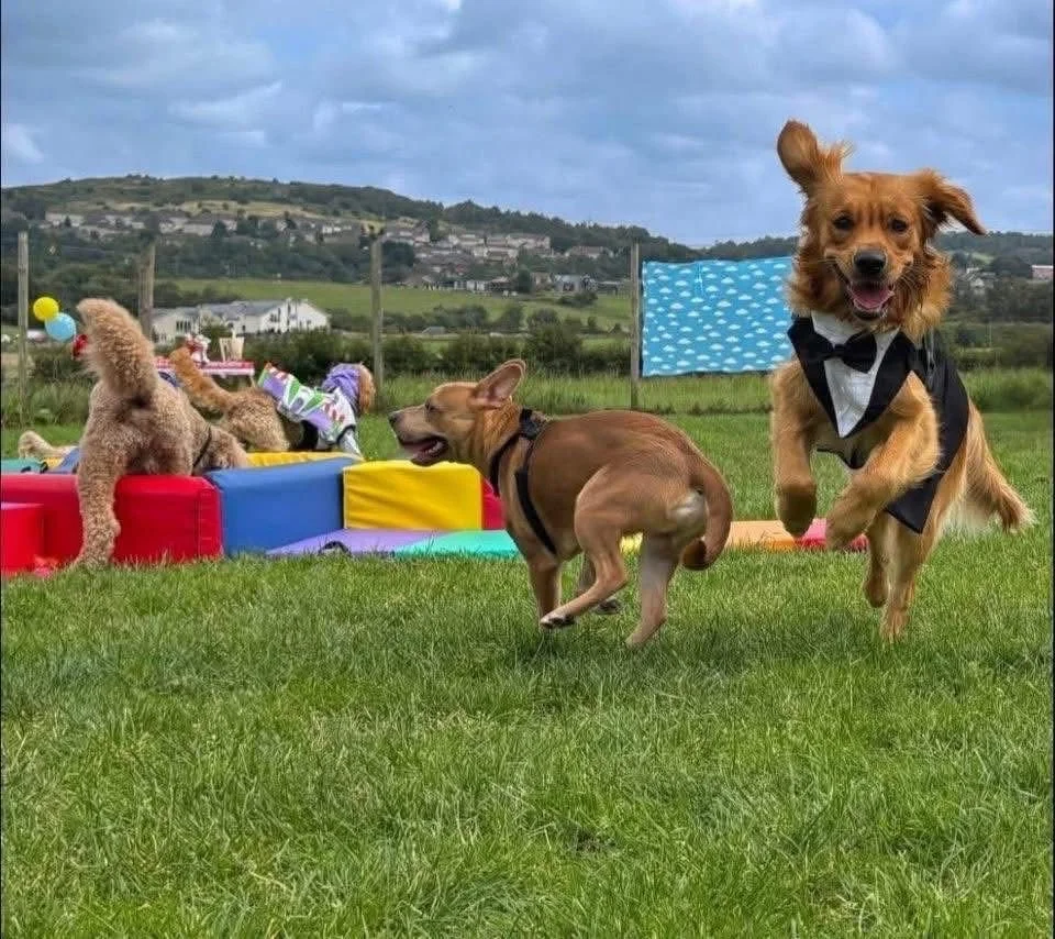 WhatsApp Image 2025-08-20 at 21.40.56_97afa76d.jpg