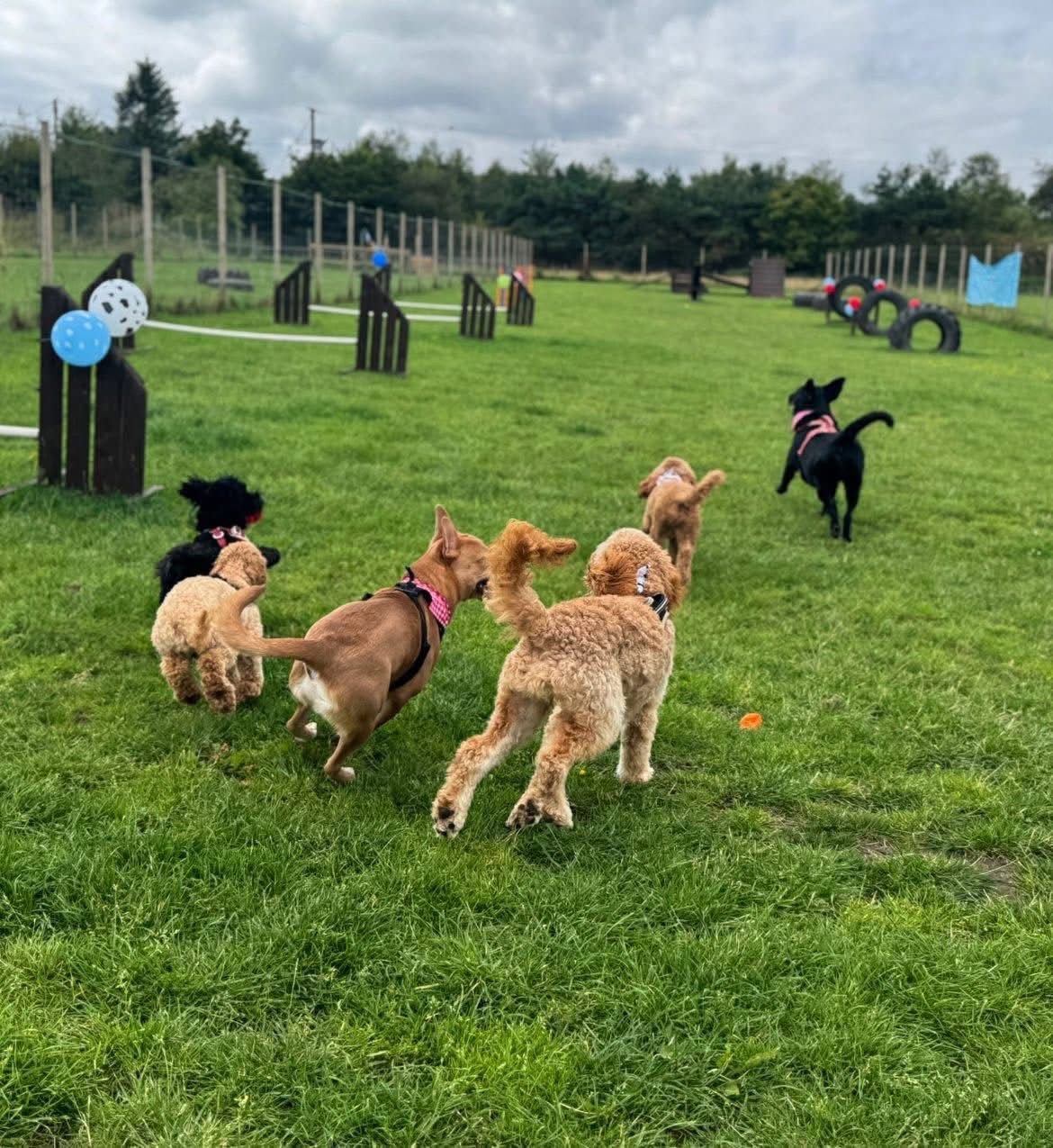 WhatsApp Image 2025-08-20 at 21.40.56_cd2bd451.jpg