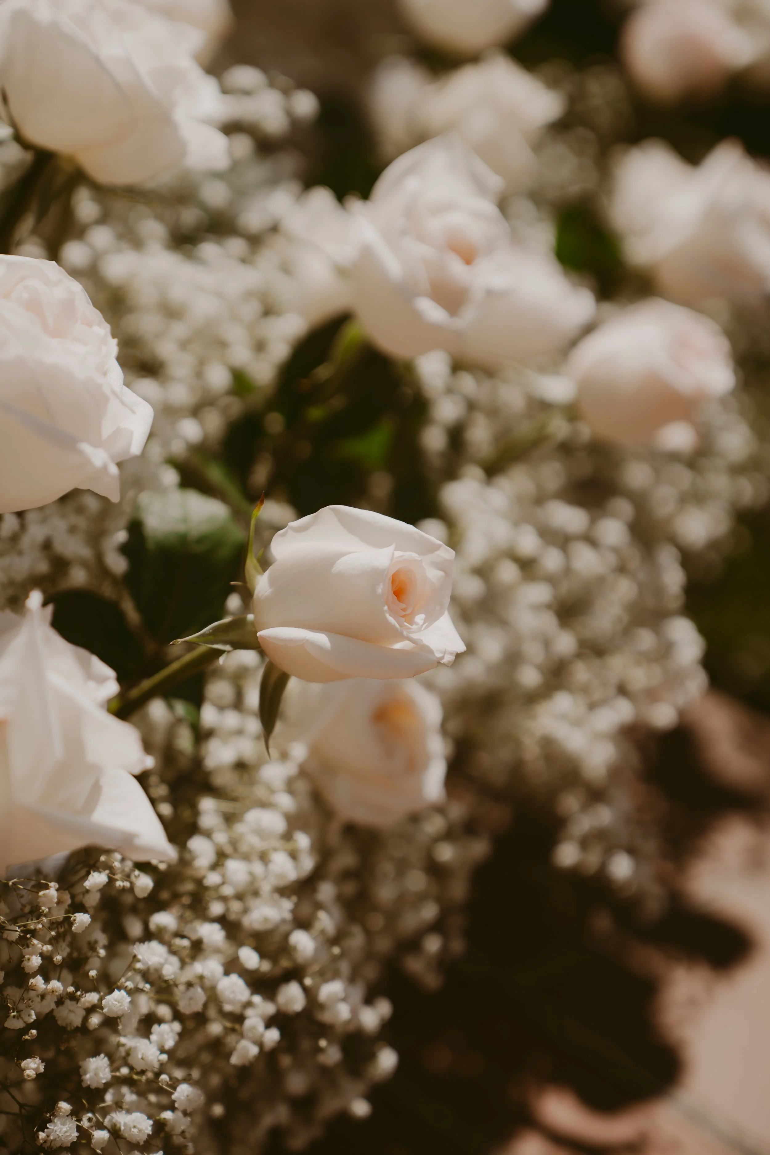 eyoubwed-27.jpg