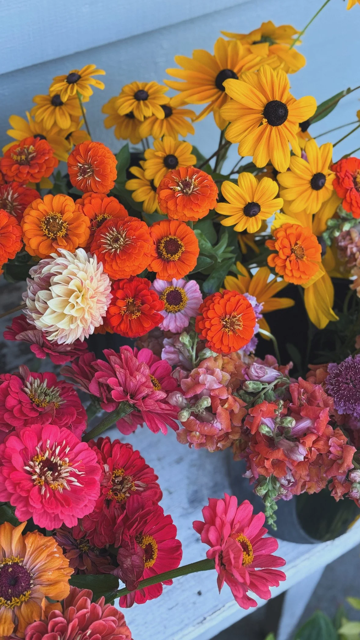 bright vibrant flowers .jpg