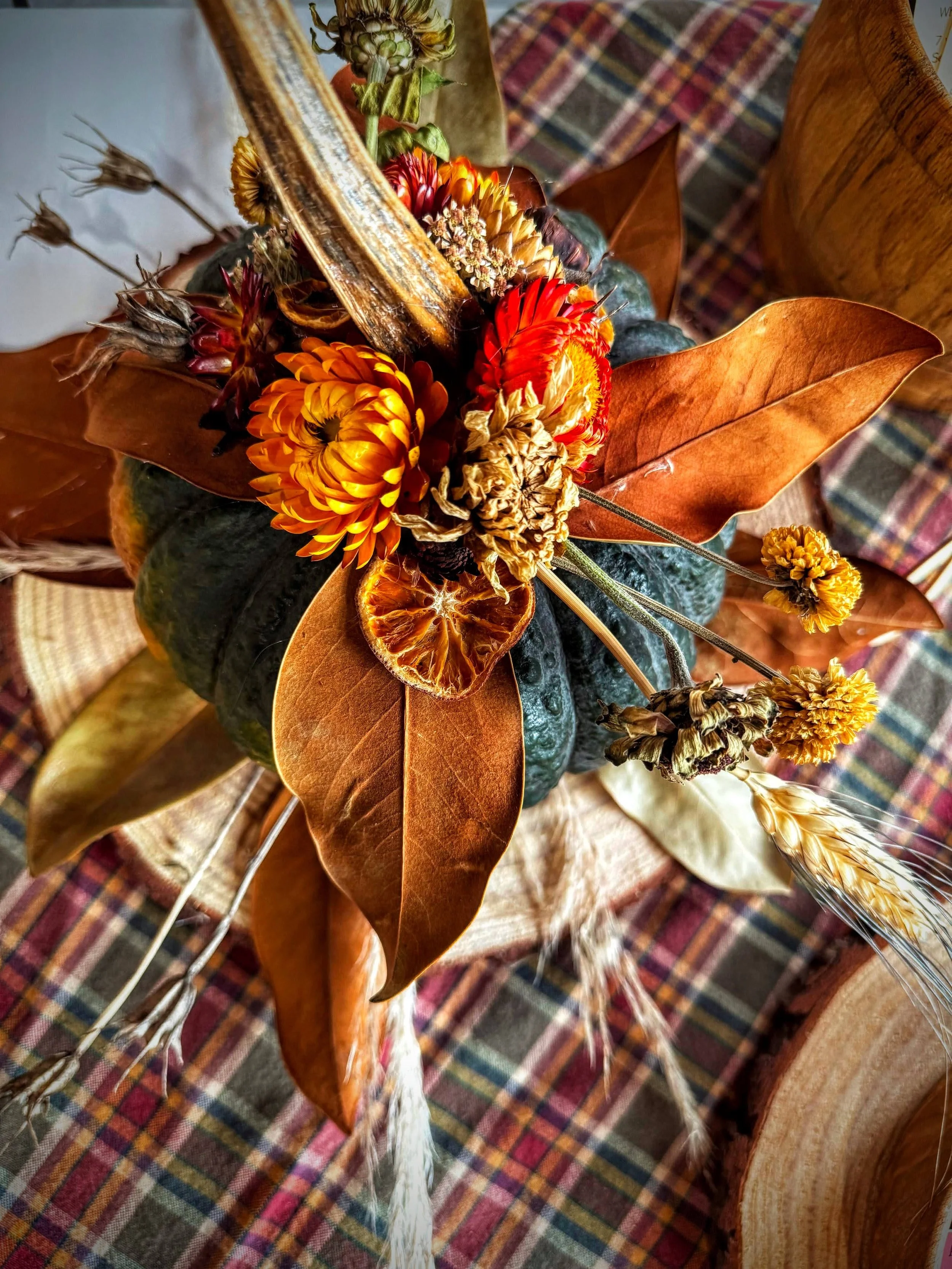 IMG_0058-EDIT-EDIT.jpg