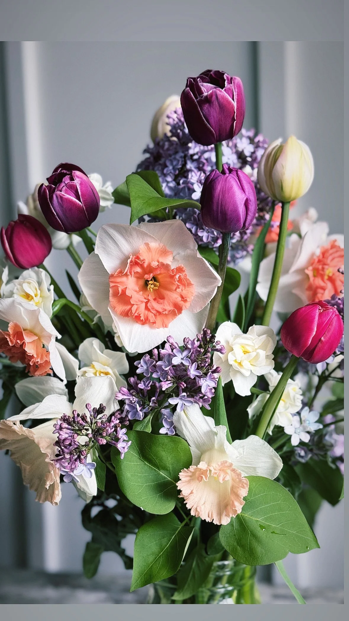 Spring CSA Membership