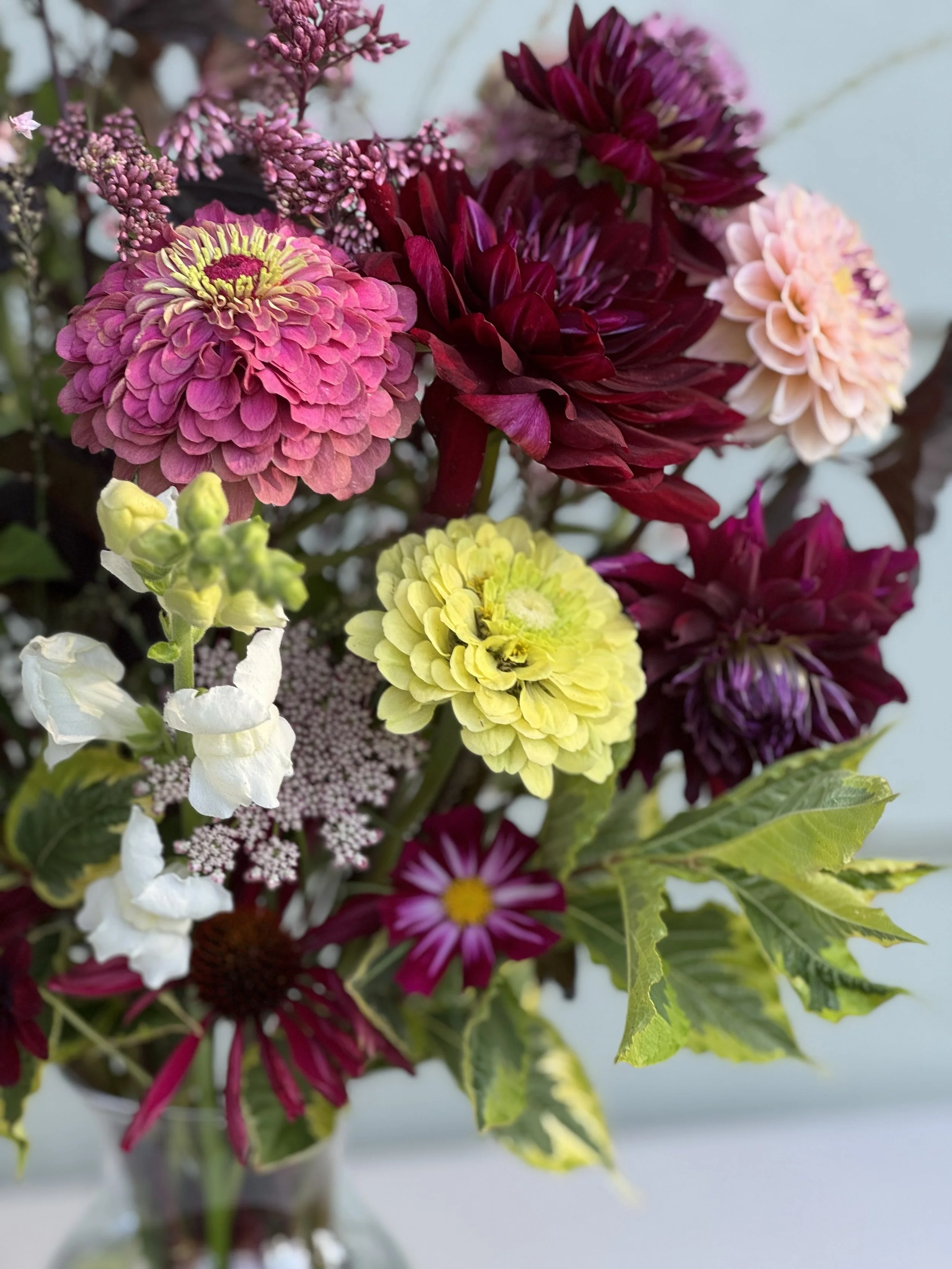 Late Summer CSA Membership