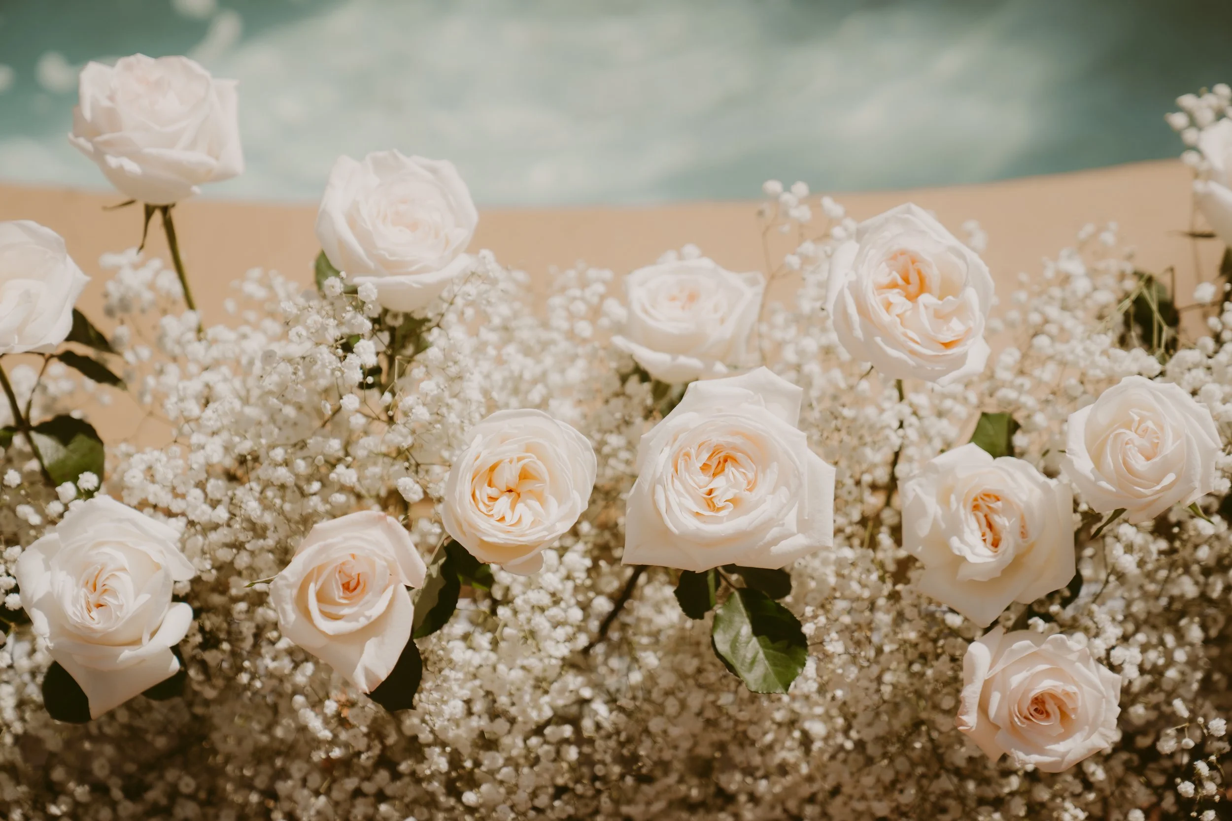 eyoubwed-24.jpg
