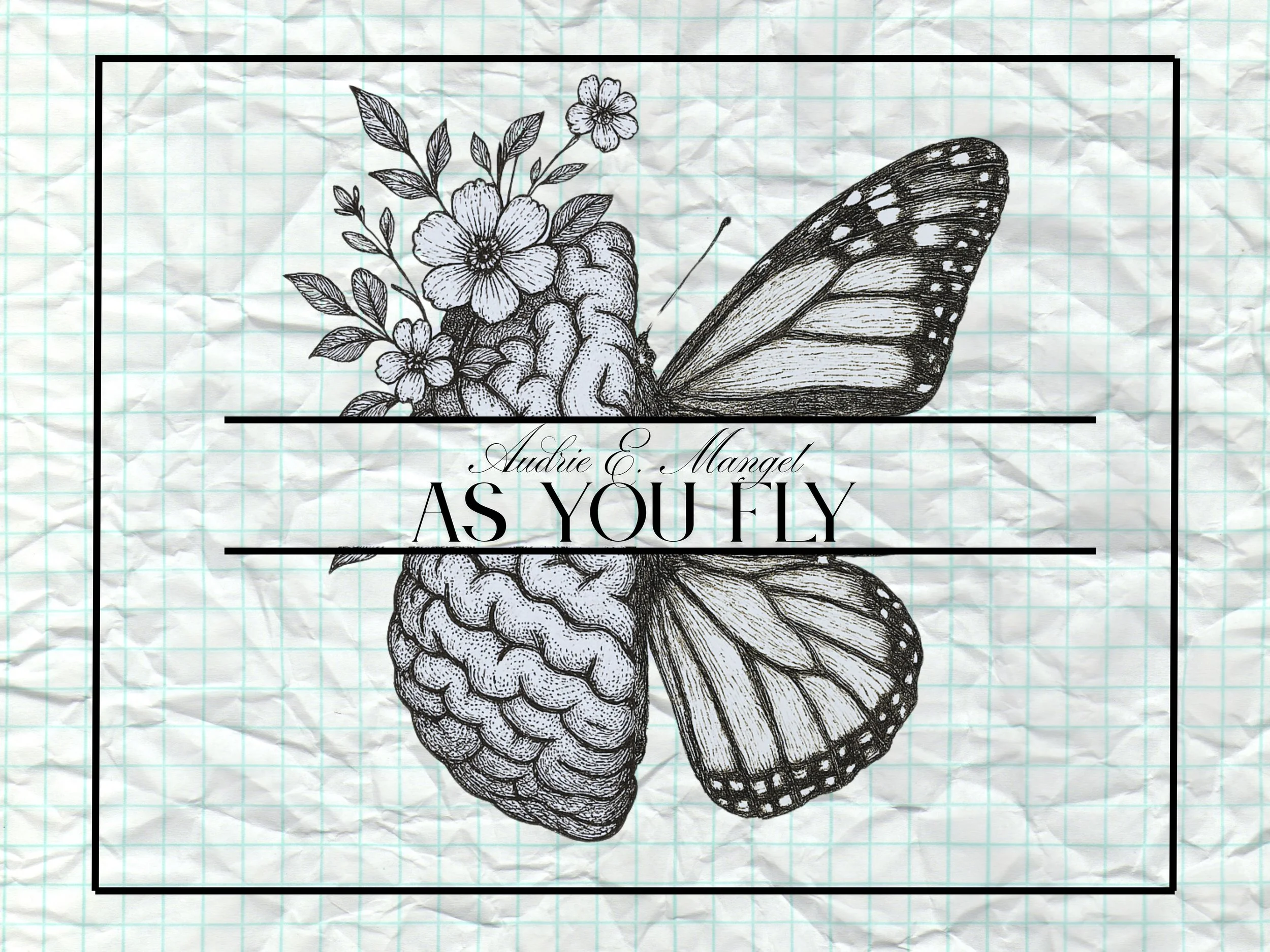 As You Fly by Audrie E Mangel.zip - 1.JPG