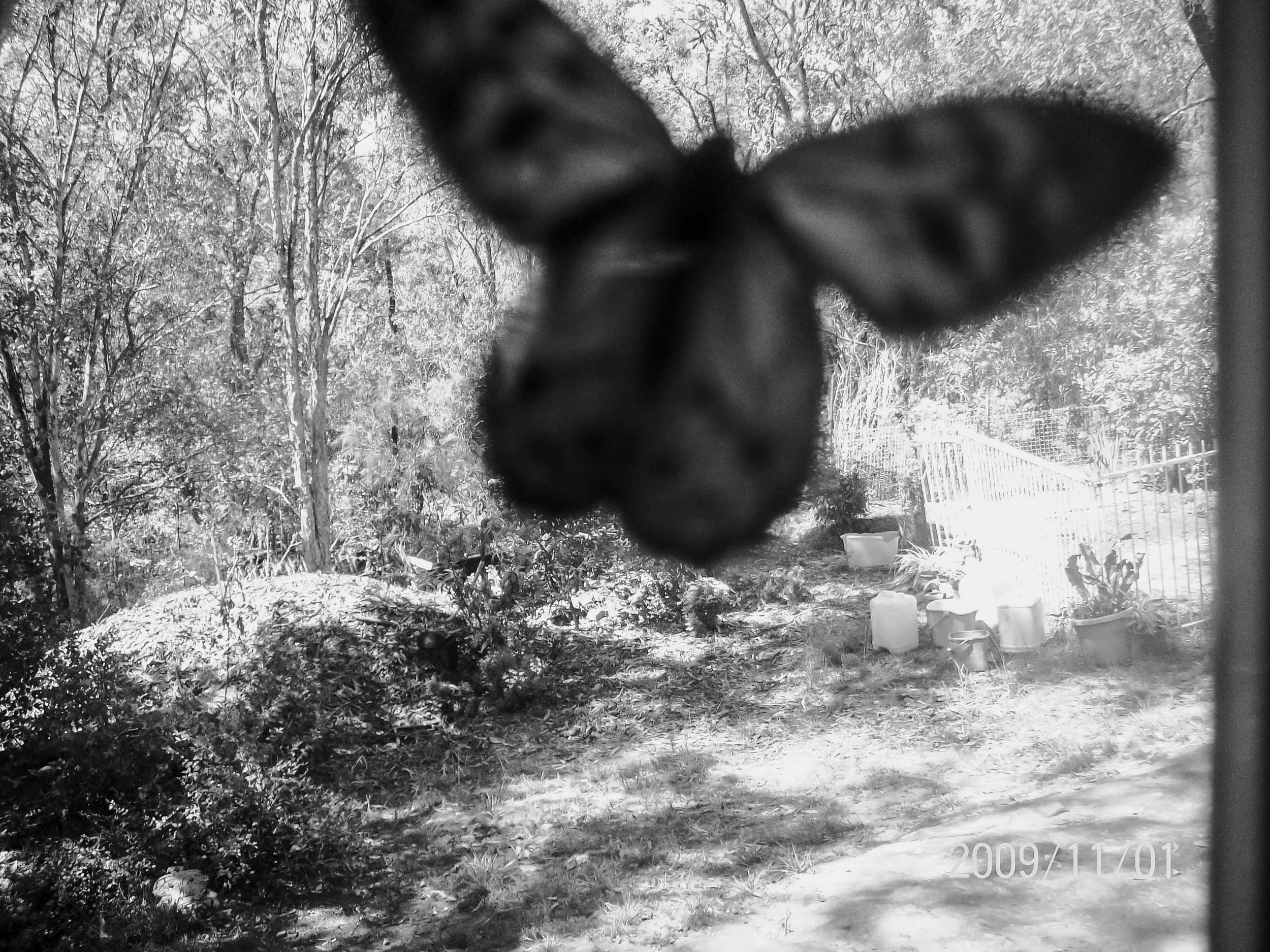 Kristina Felker Photography-44.jpg