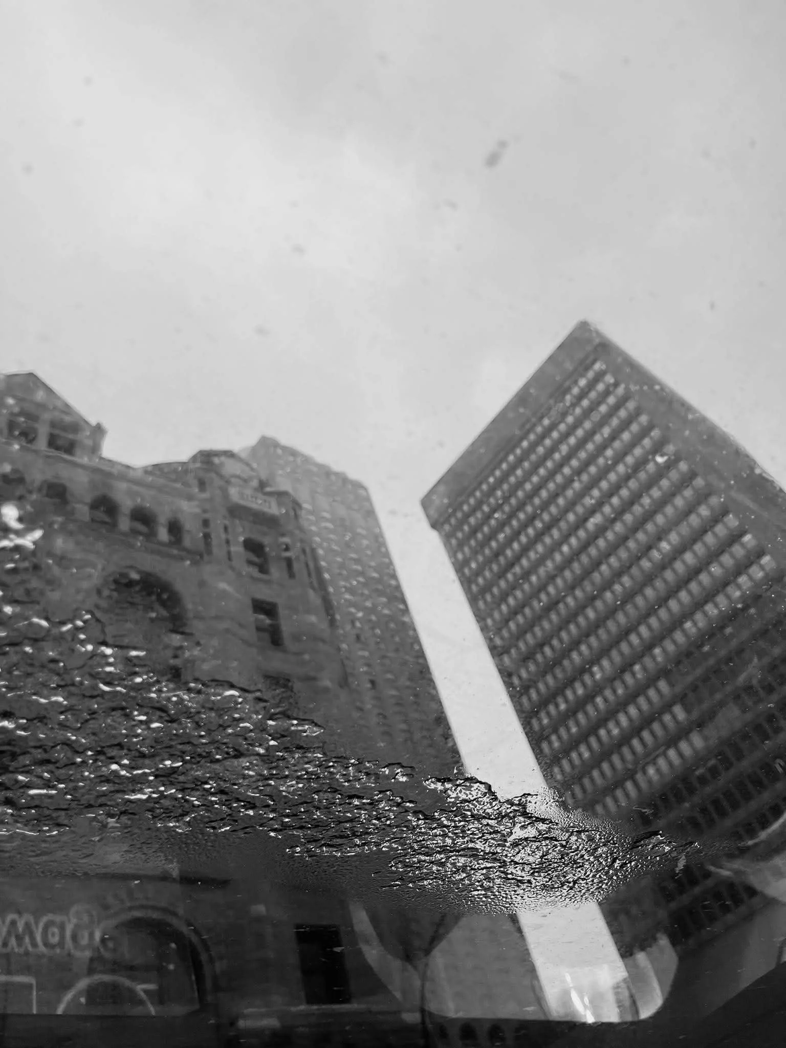 Kristina Felker Photography 15.jpg