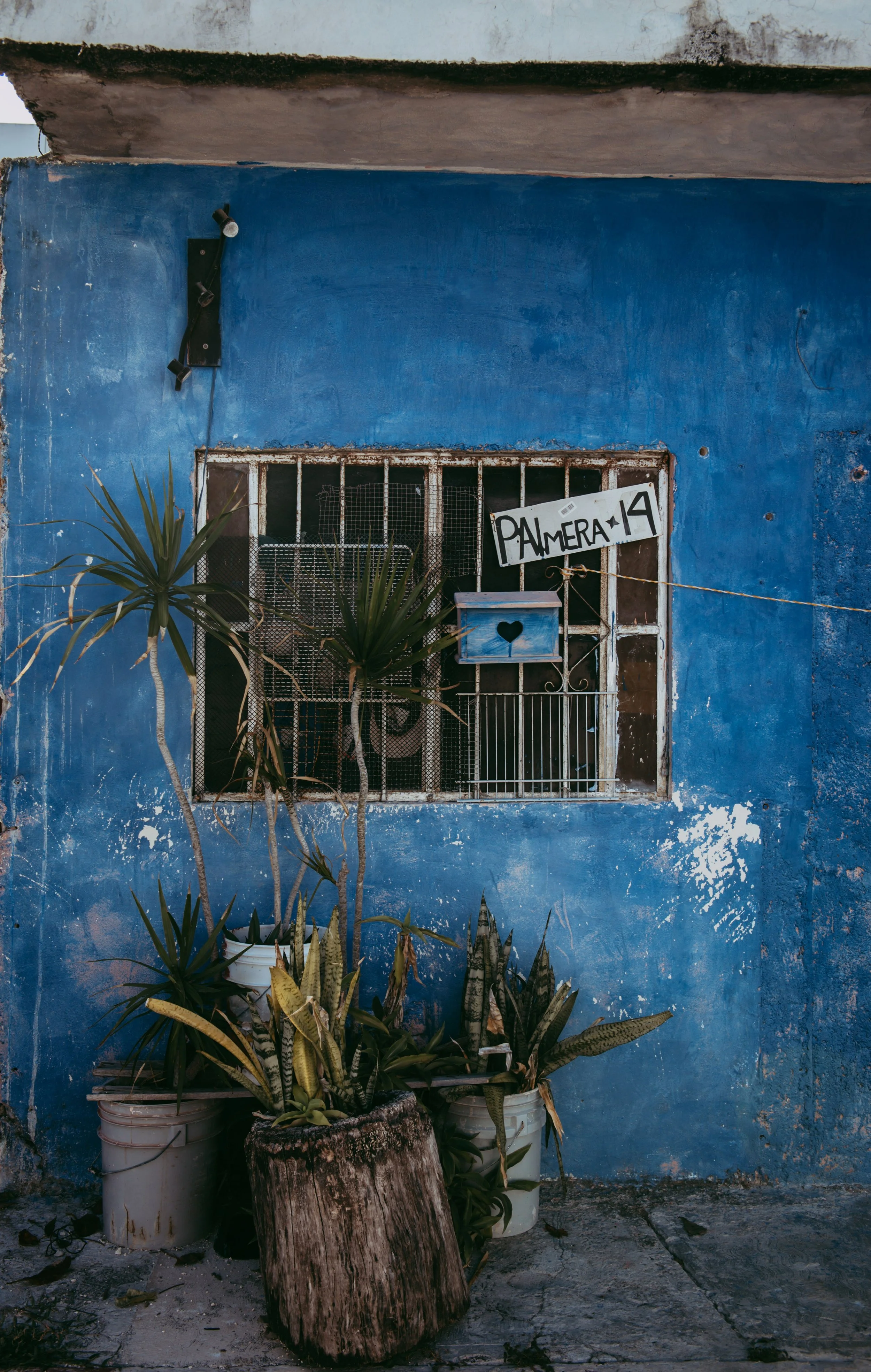 Kristina Felker Photography-65.jpg