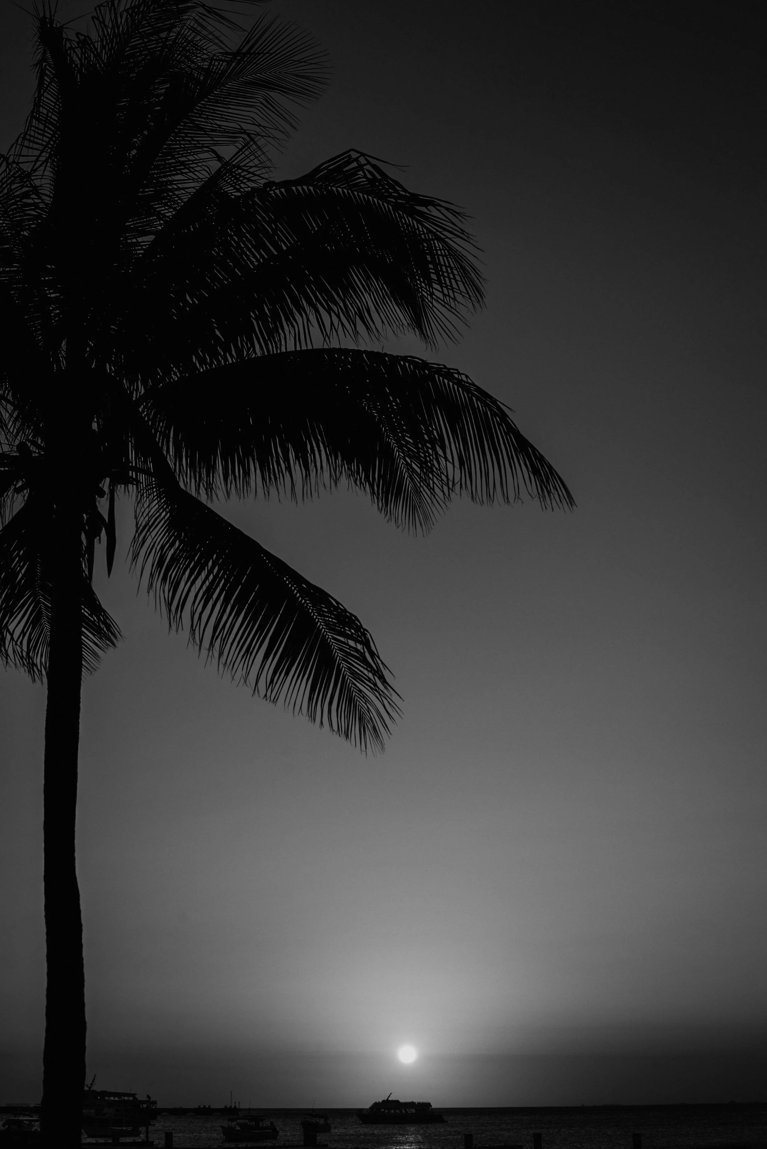 Kristina Felker Photography-44bw.jpg