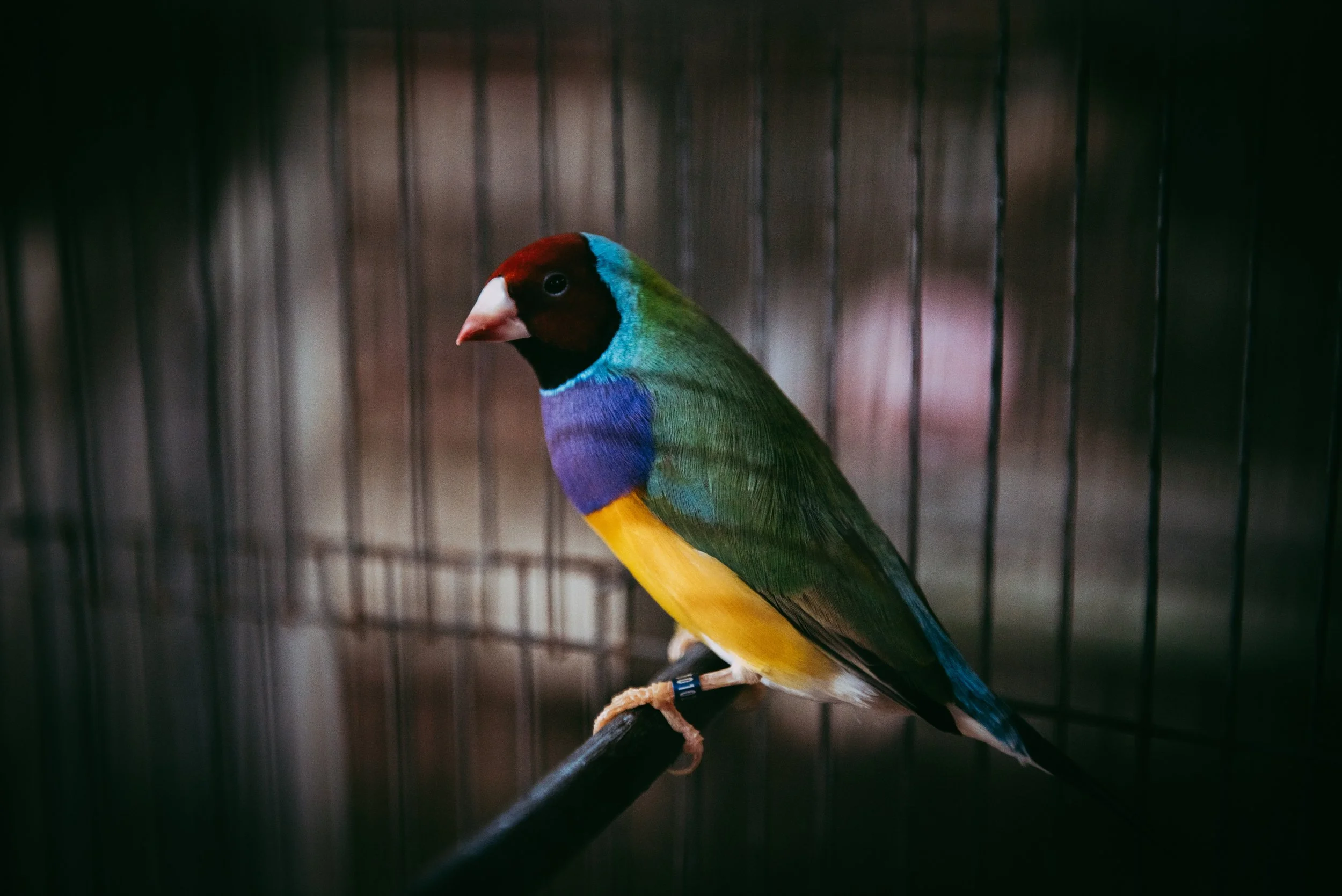 Kristina Felker Photography-44.jpg