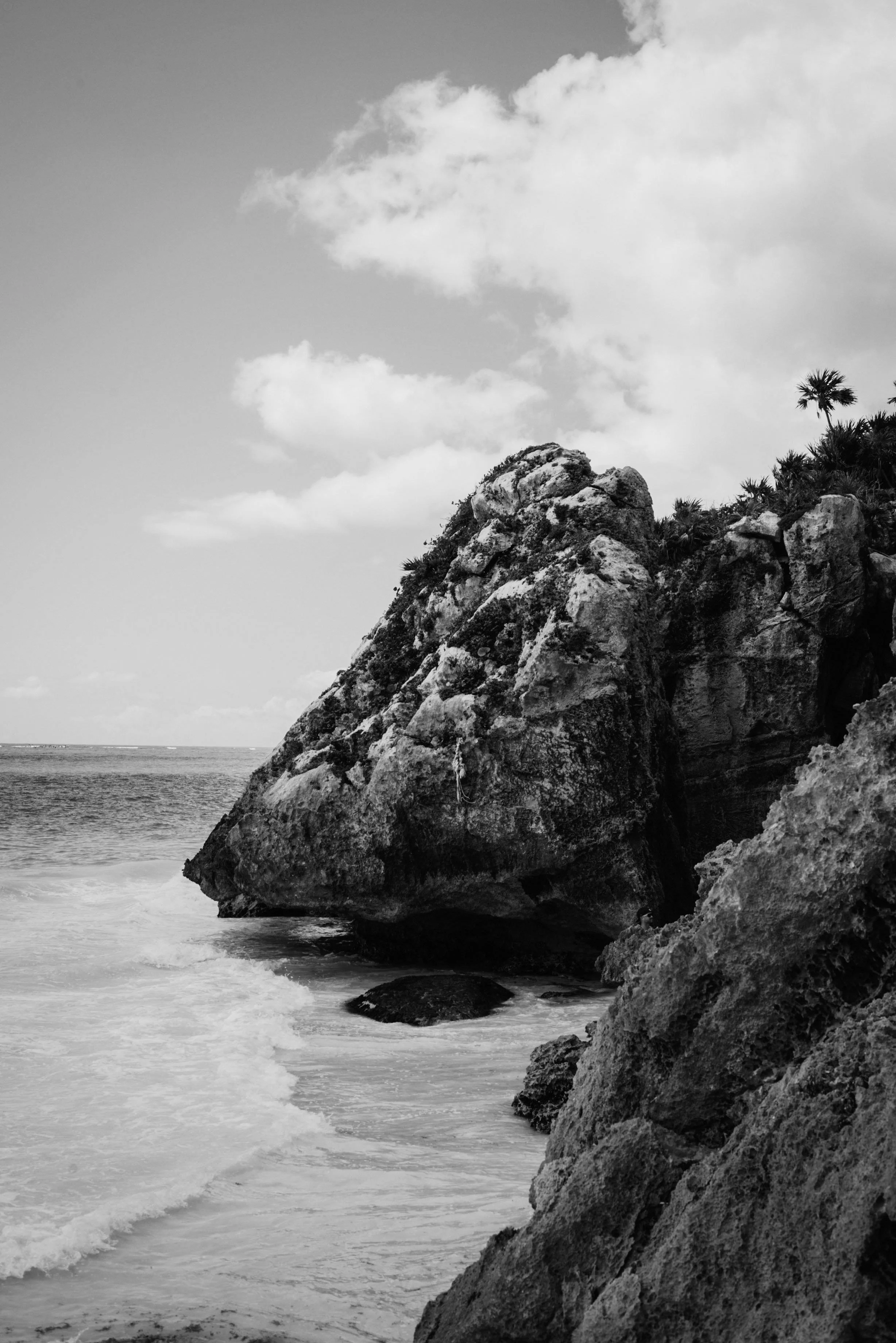 Kristina Felker Photography-36bw.jpg