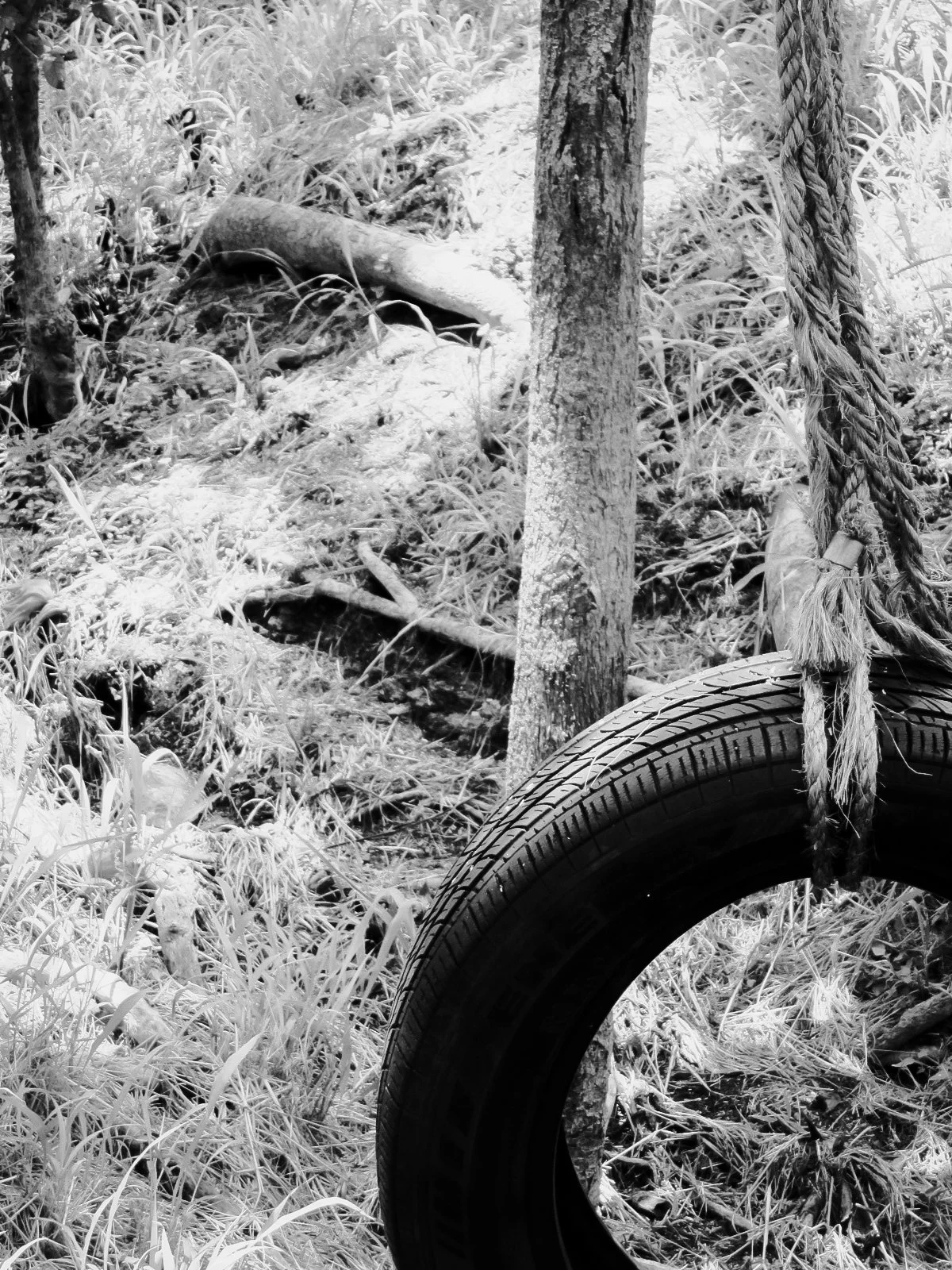 Kristina Felker Photography-36.jpg