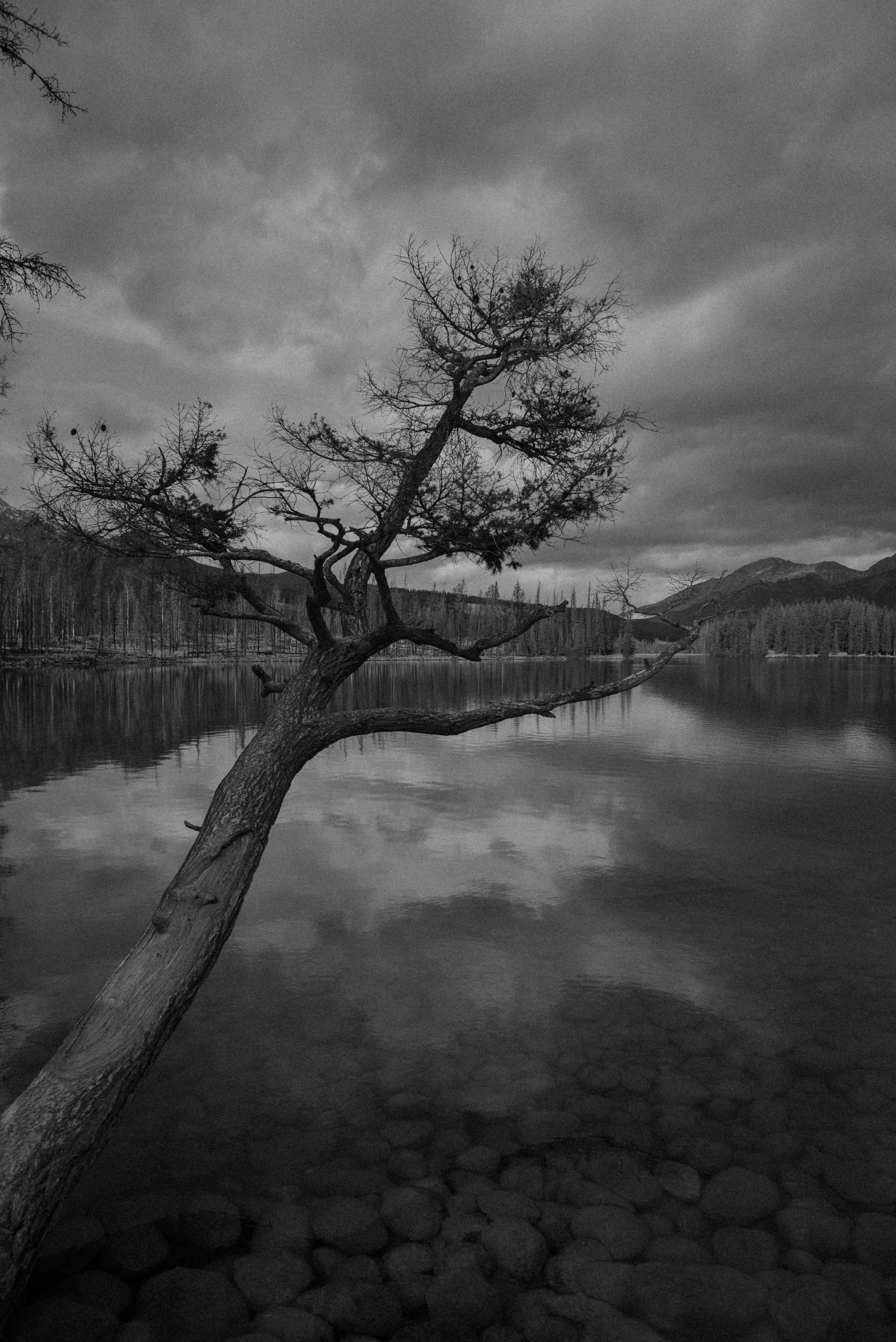 Canadian Geographic - Climate Disaster Project - Jasper