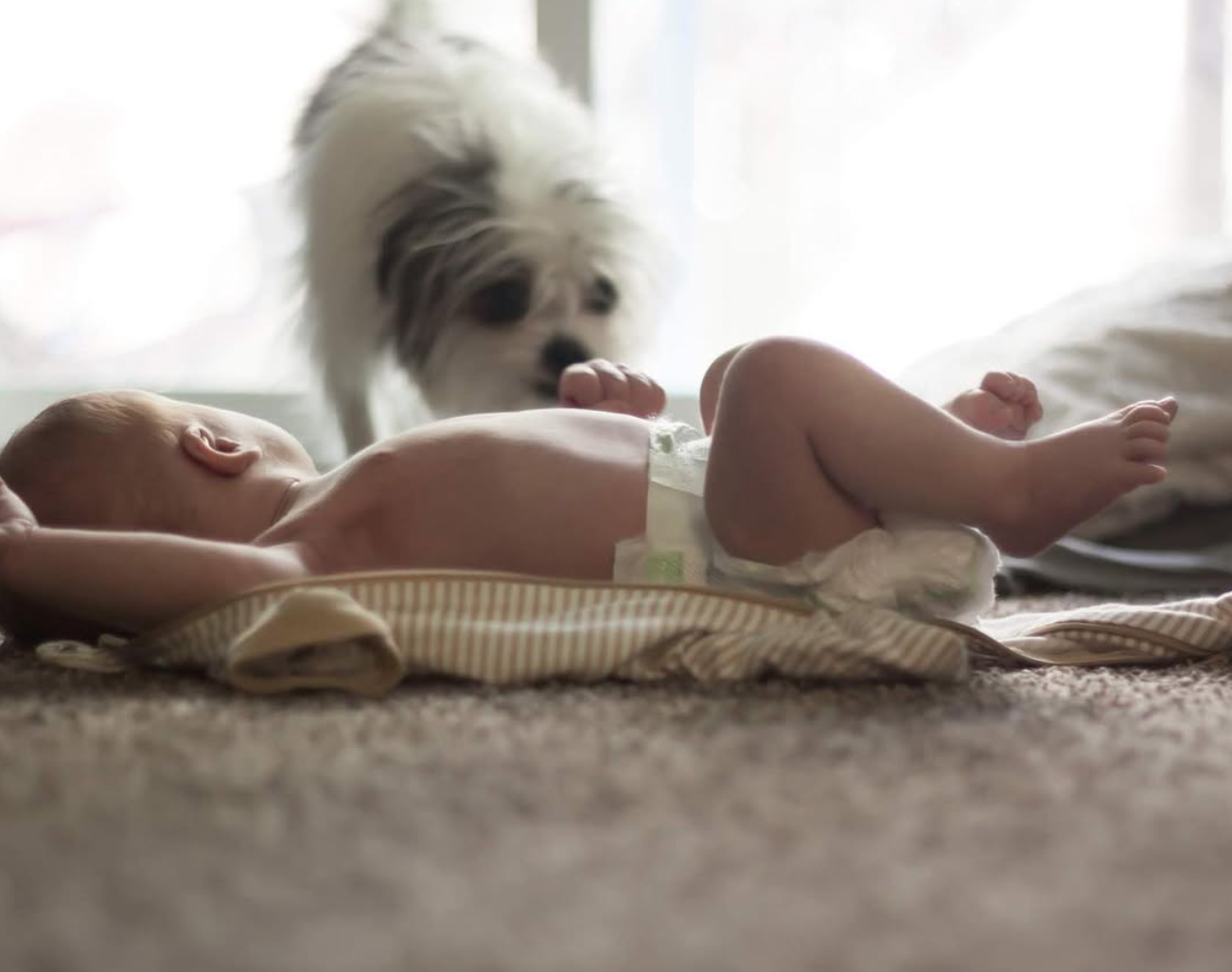 Screenshot 2026-01-06 at 8.32.04 AM.png