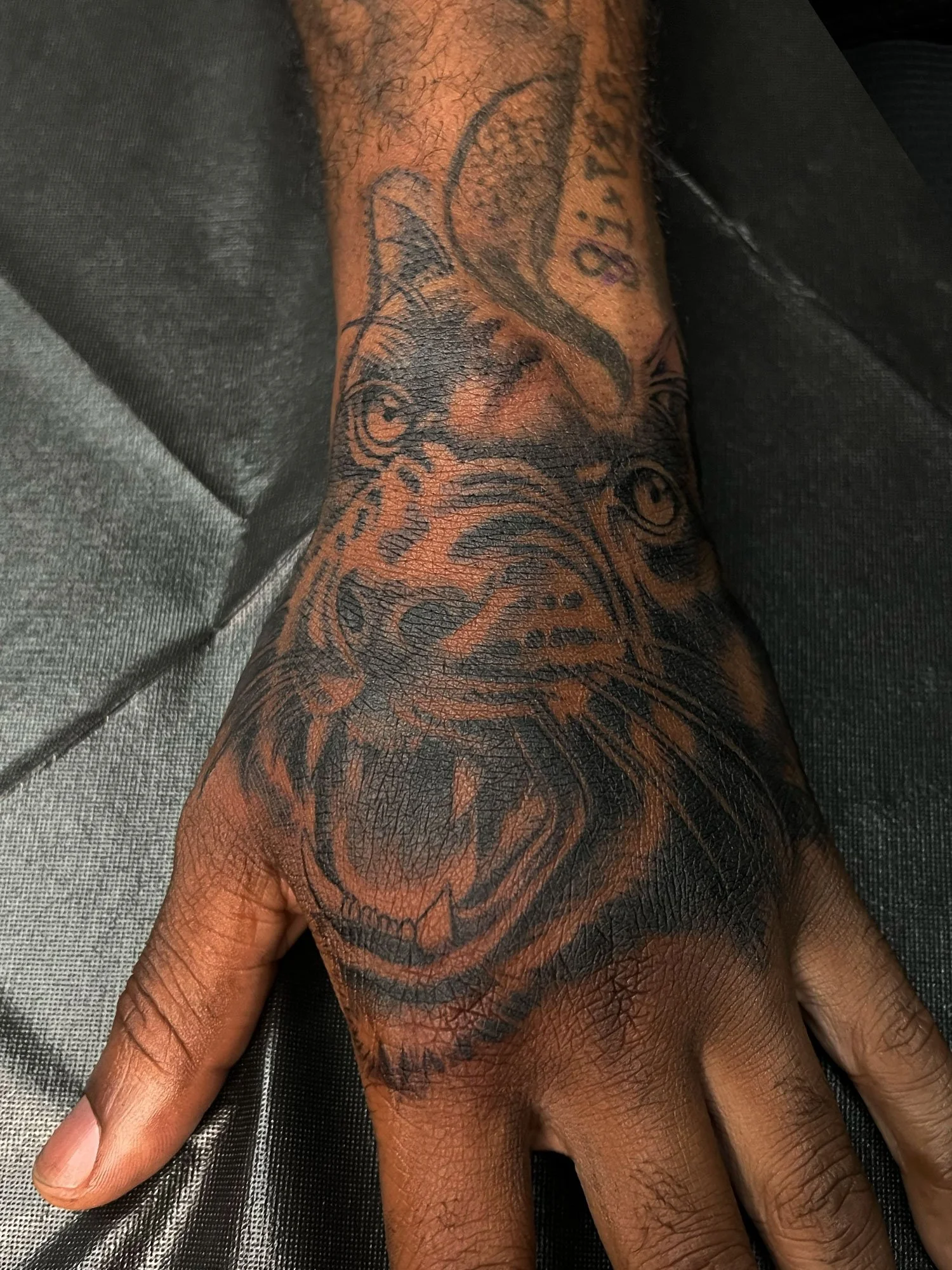elizagreed-san-diego-black-grey-realism-panther-tattoo.jpg