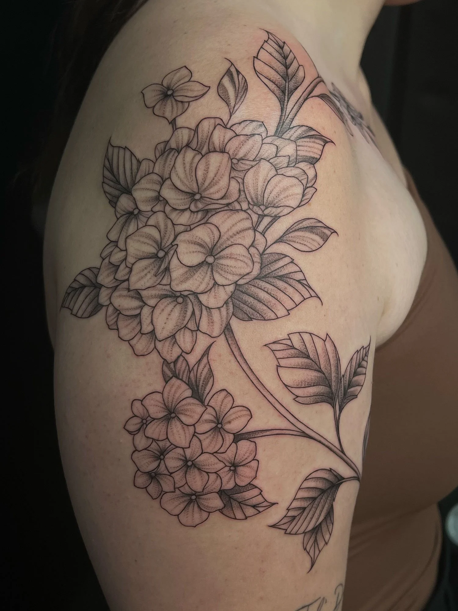 elizagreed-san-diego-black-grey-fineline-huge-floral-arm-tattoo.jpg