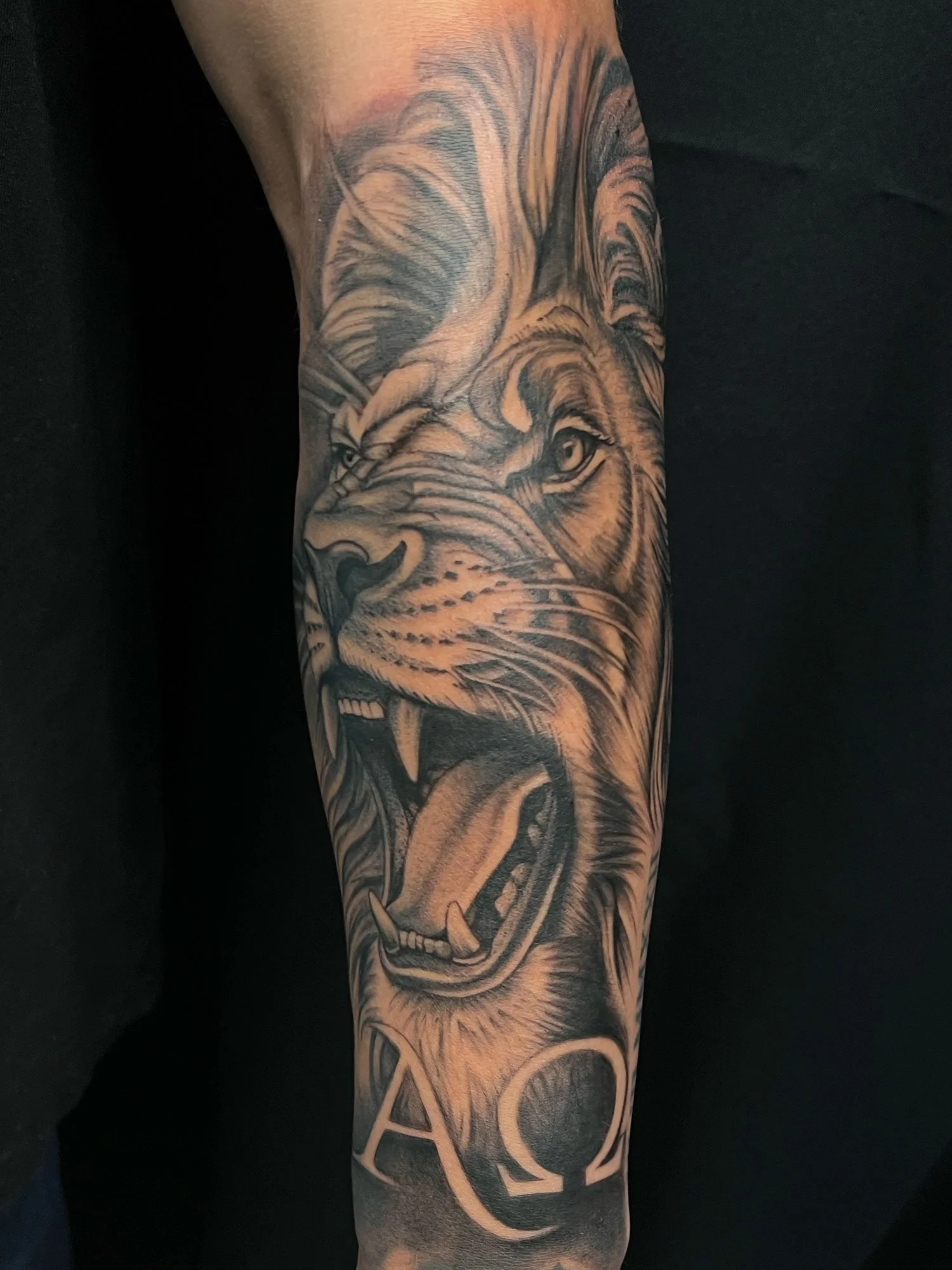 elizagreed-san-diego-black-grey-realism-lion-roaring-arm-tattoo.jpg