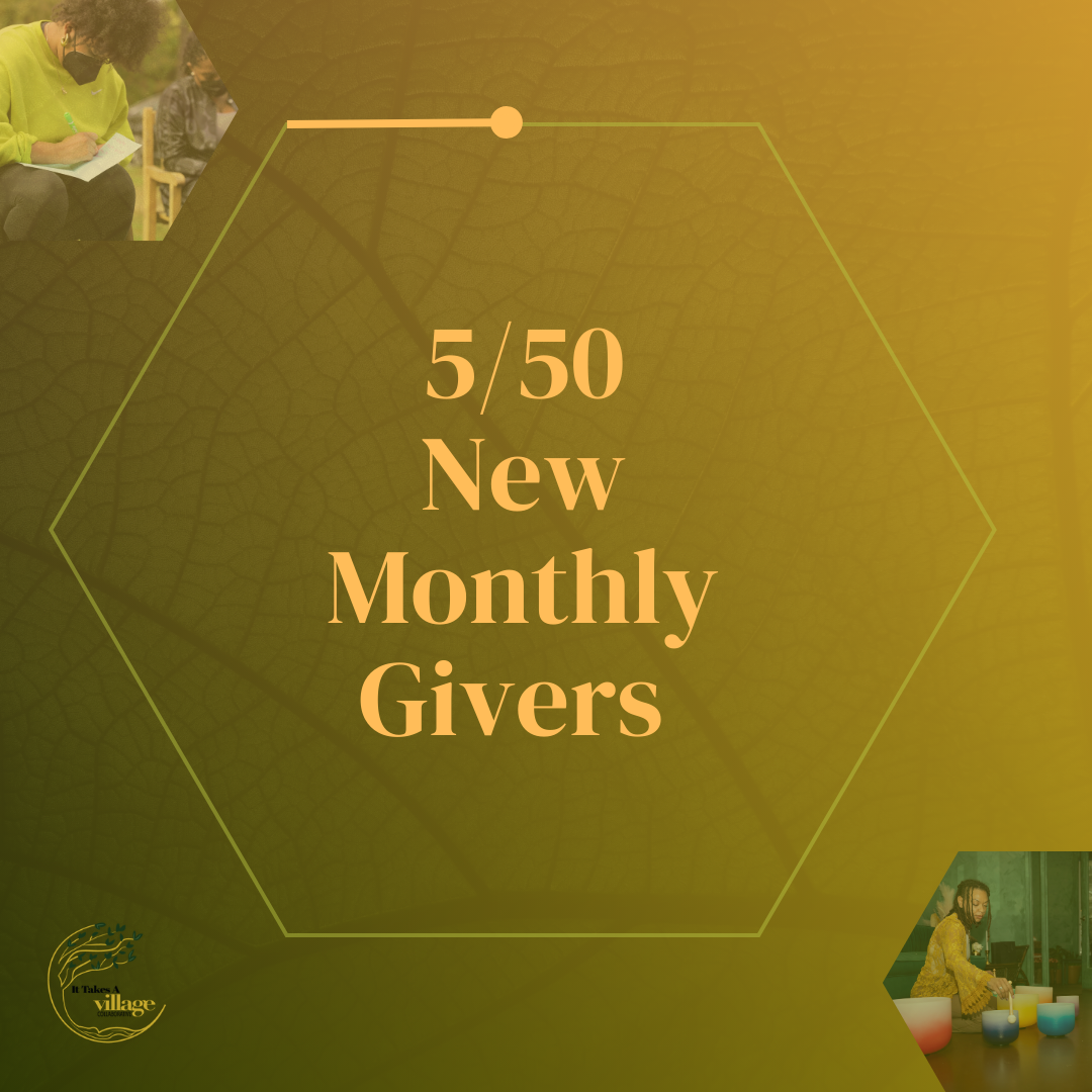 ITAV_2024_Fundraising Tracker.png