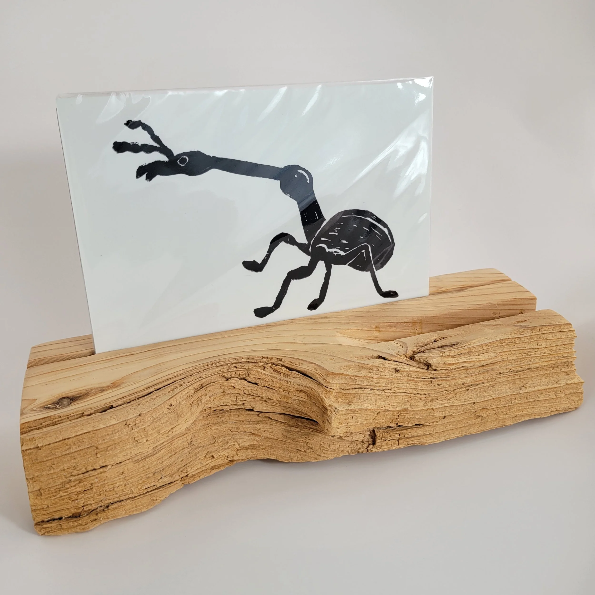 Giraffe Weevil Print