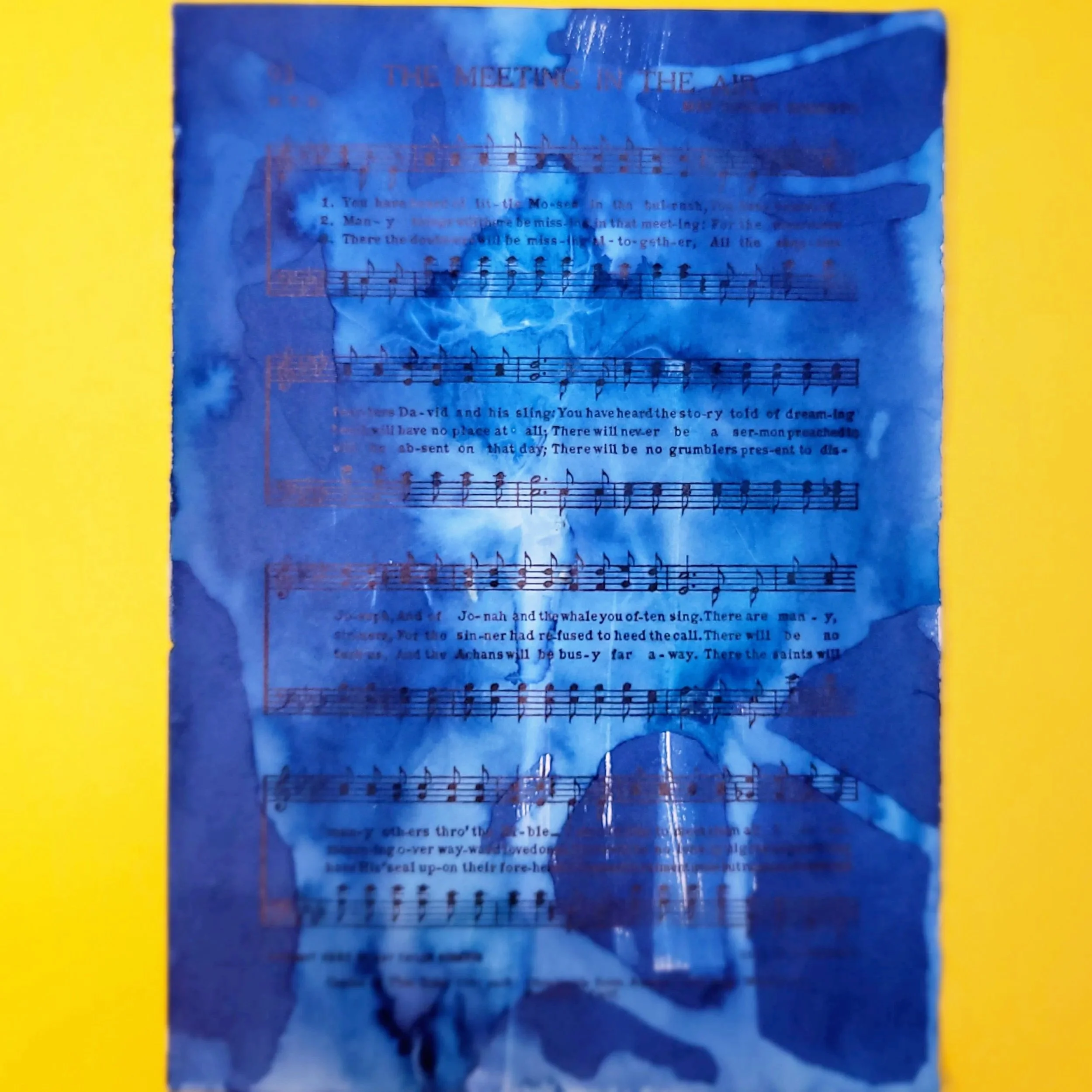 Cyanotype Original Artwork - Abstract Dandelion