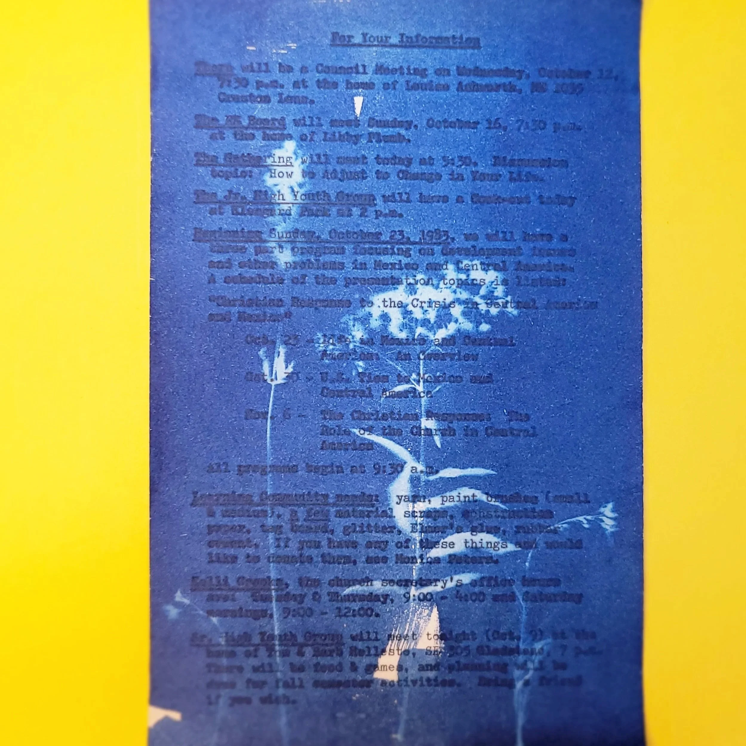 Cyanotype Original Artwork - Floral Typewriter