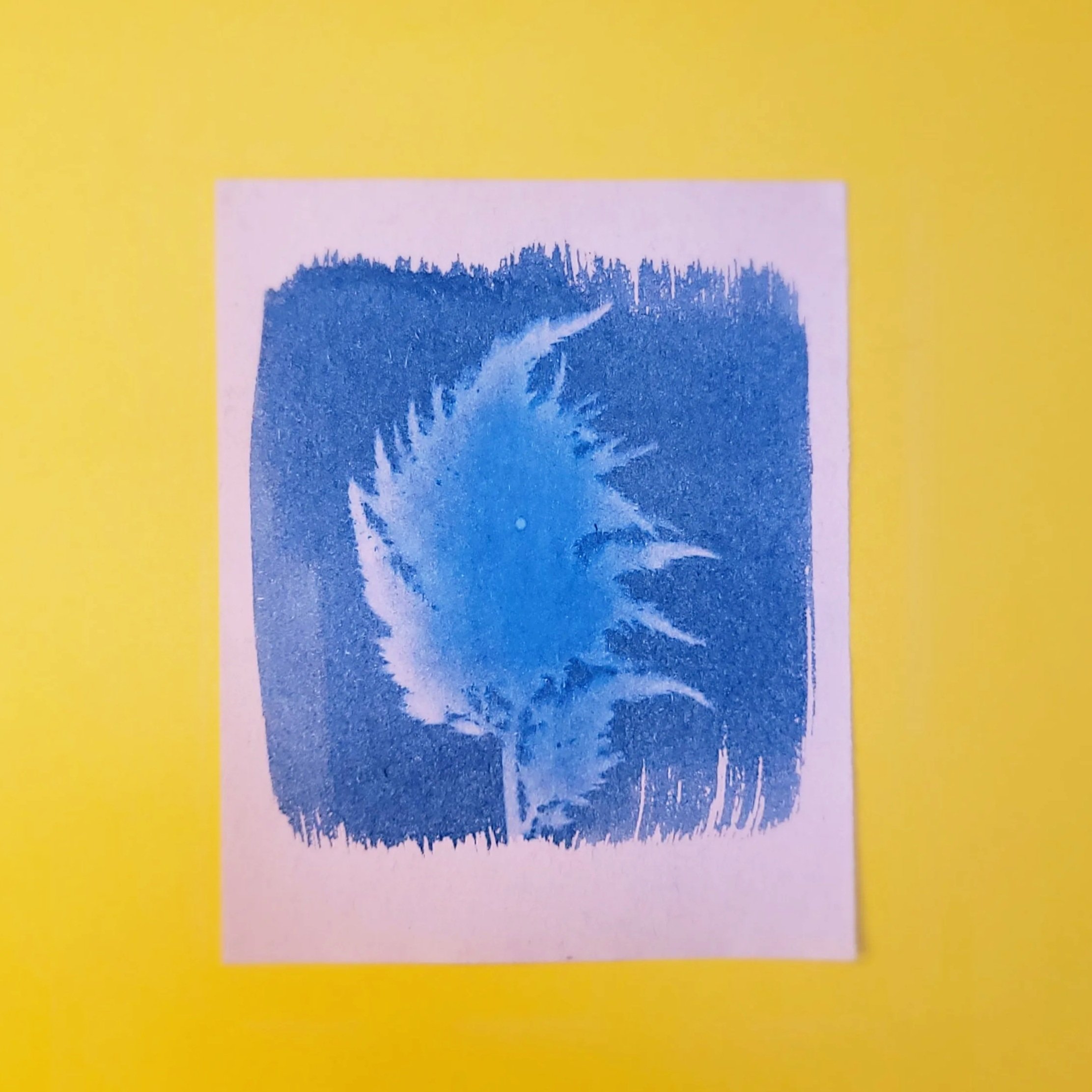 Cyanotype Original Artwork - Celosia