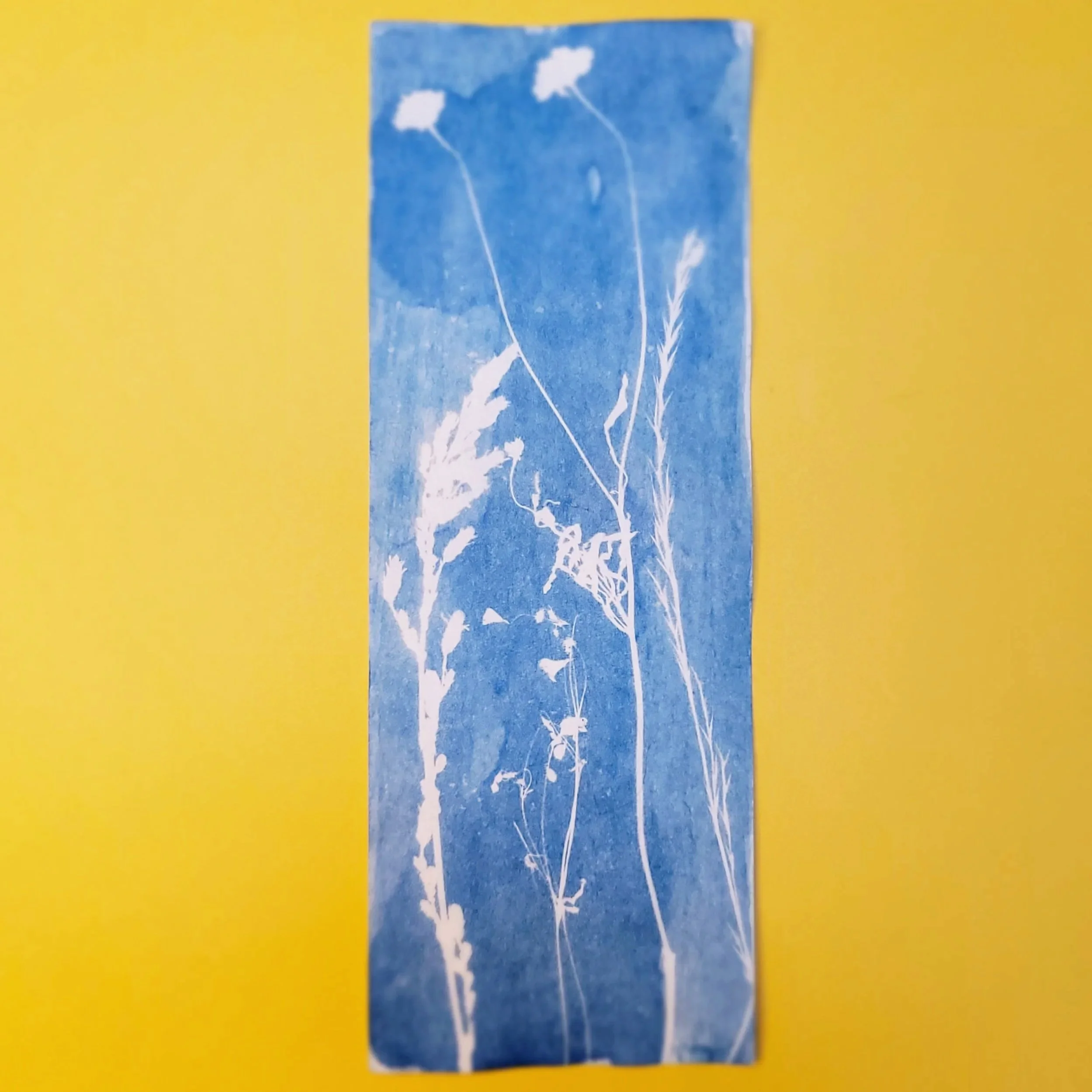 Cyanotype Original Artwork - Vertical Stems