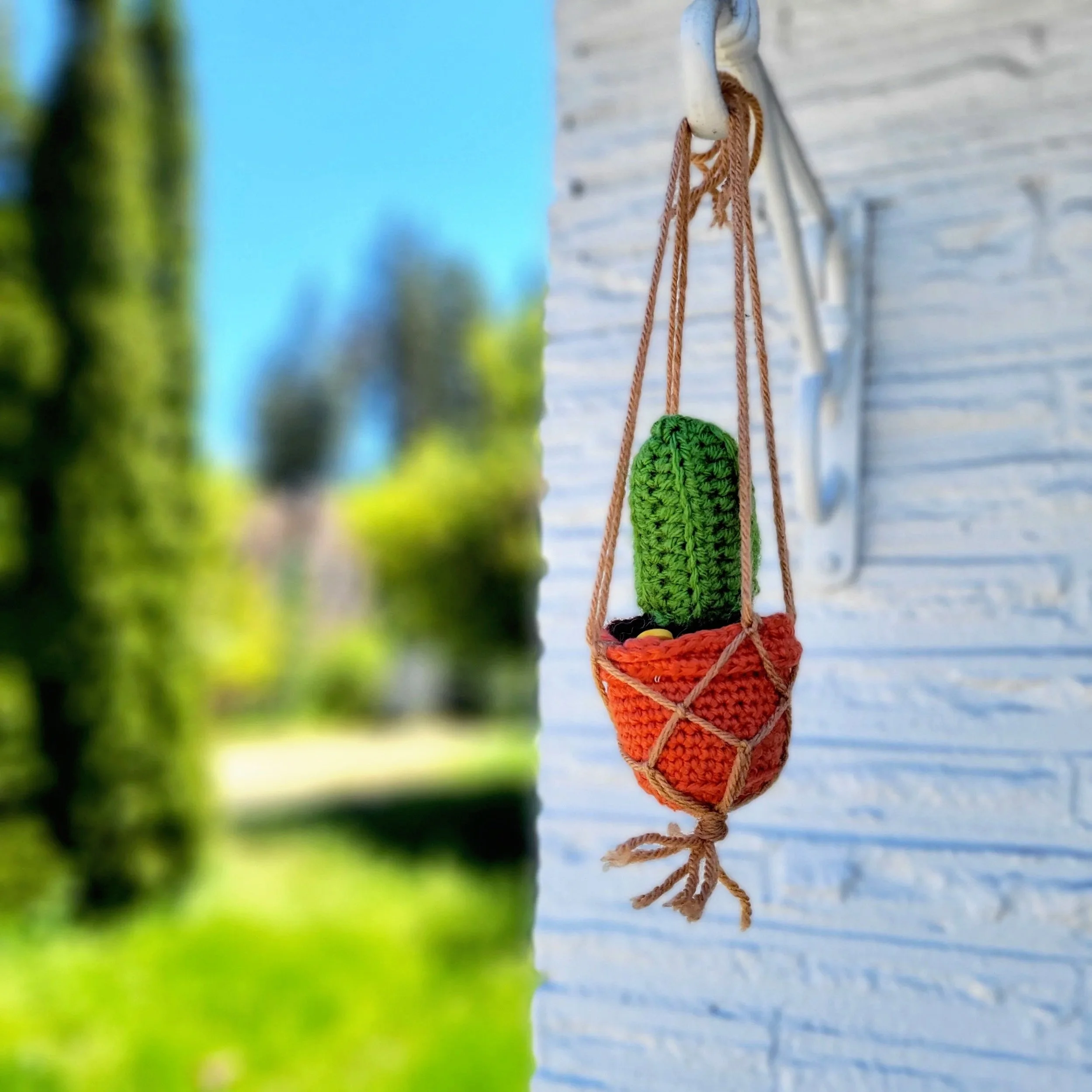 Crocheted Hanging Cactus