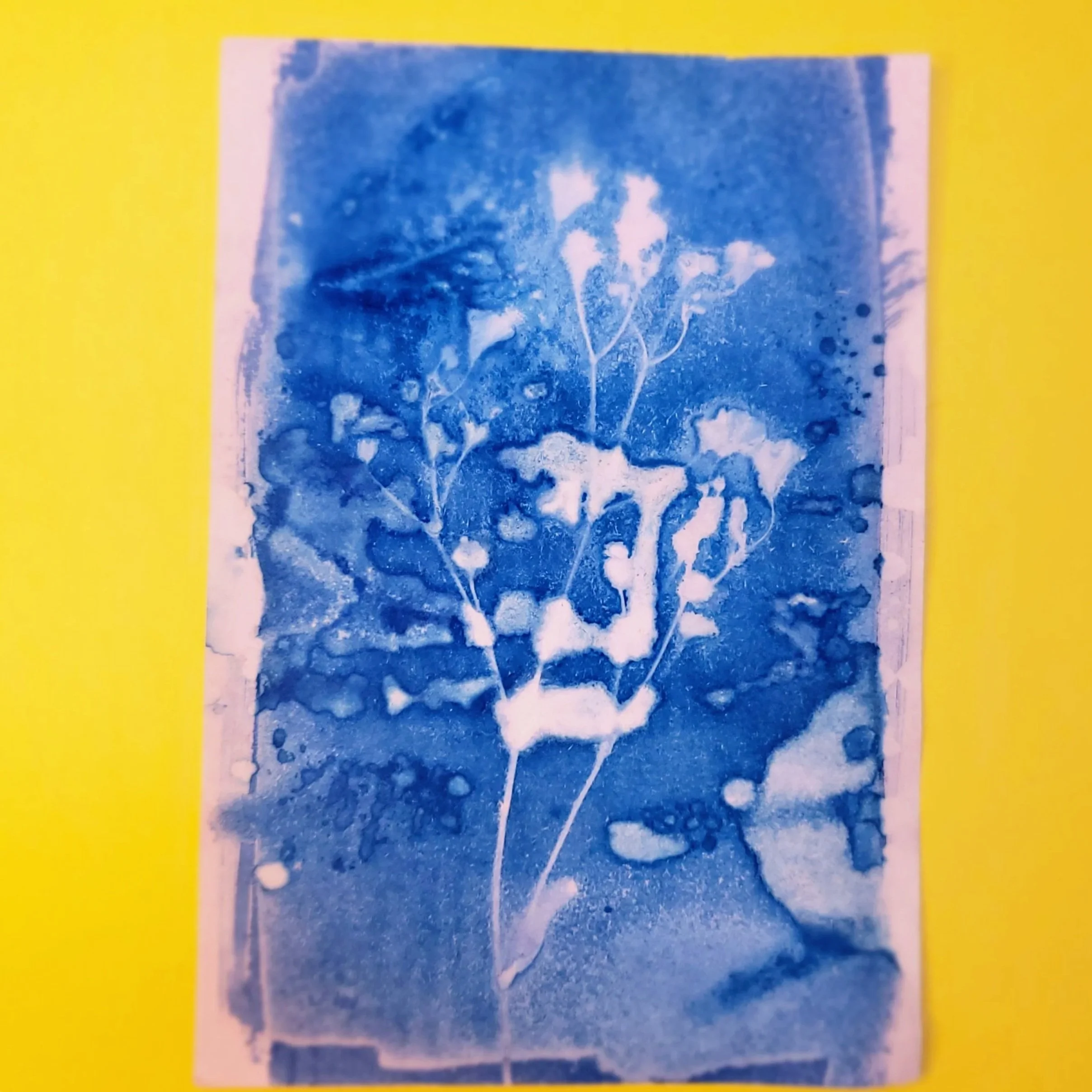 Cyanotype Original Artwork - Large Abstract Flowers