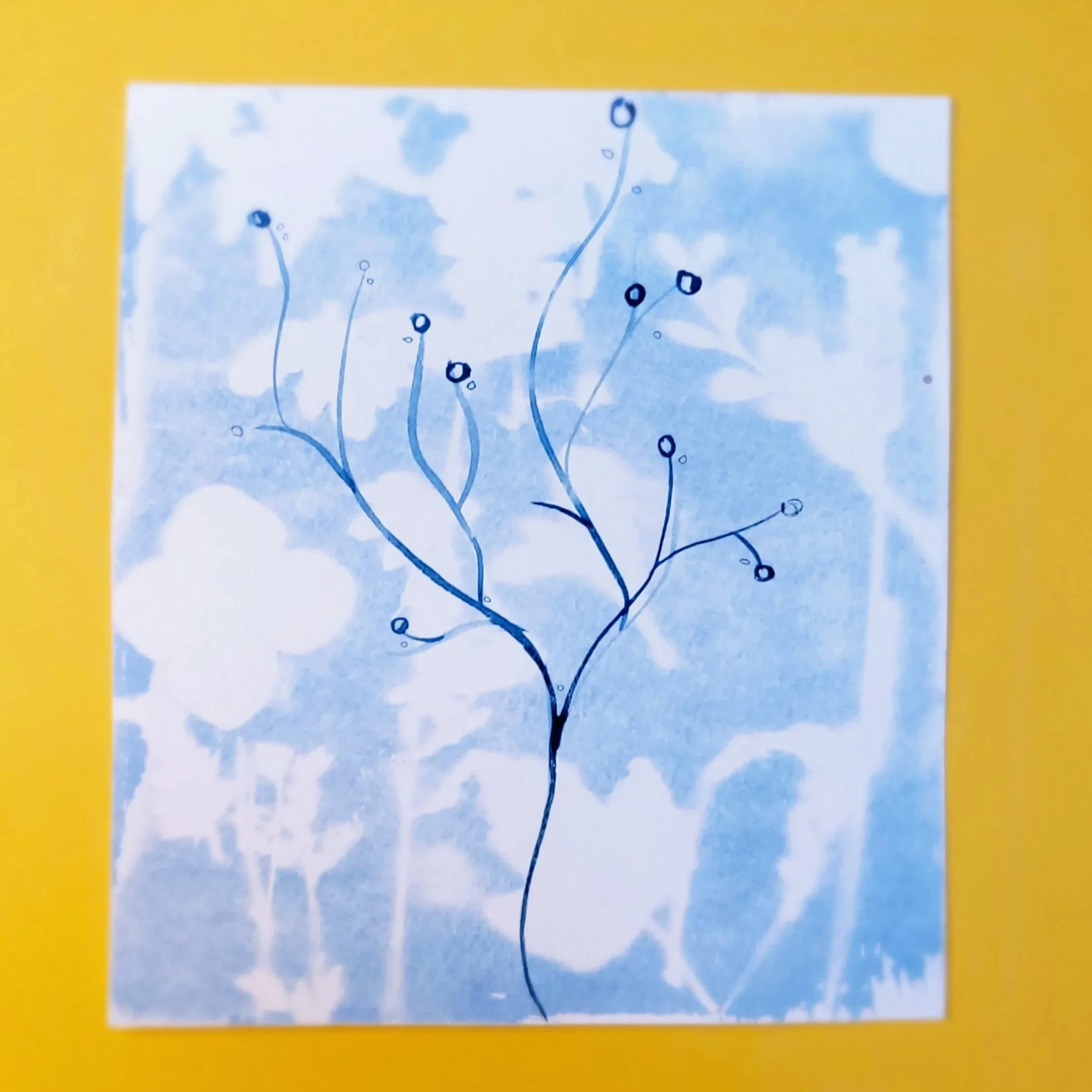 Cyanotype Original Artwork - Painted Stems
