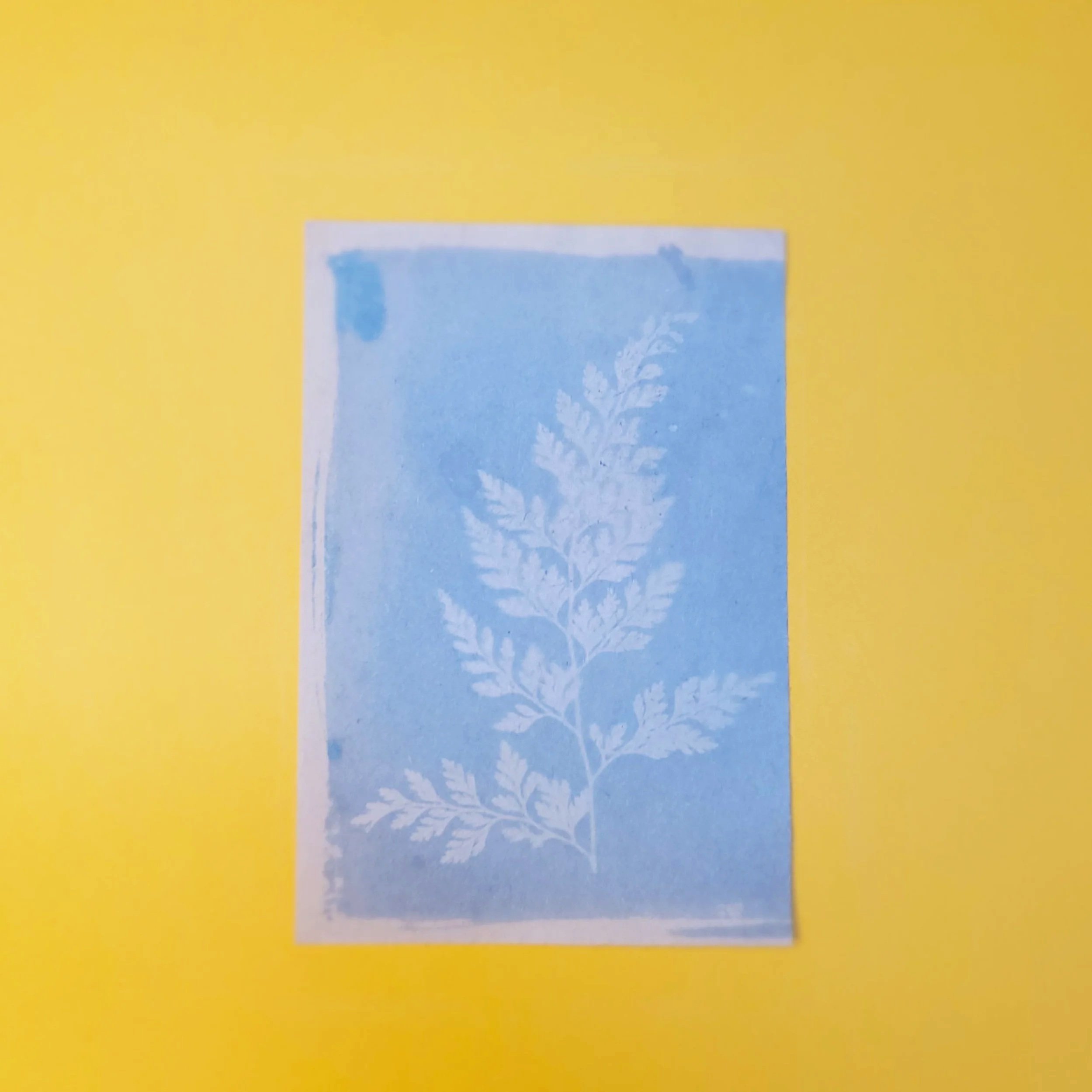 Cyanotype Original Artwork - Pale Blue Leaves