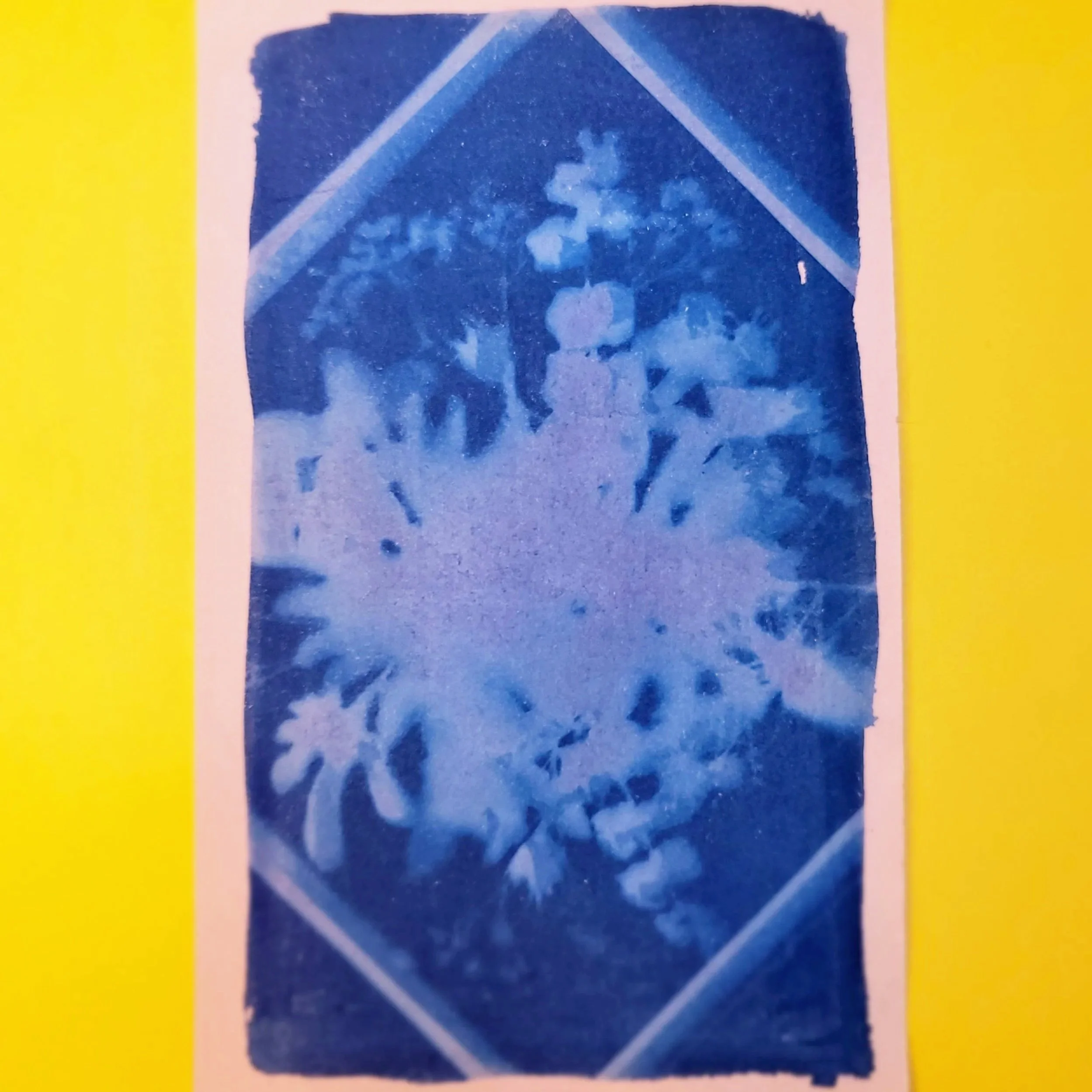 Cyanotype Original Artwork - Framed Florals