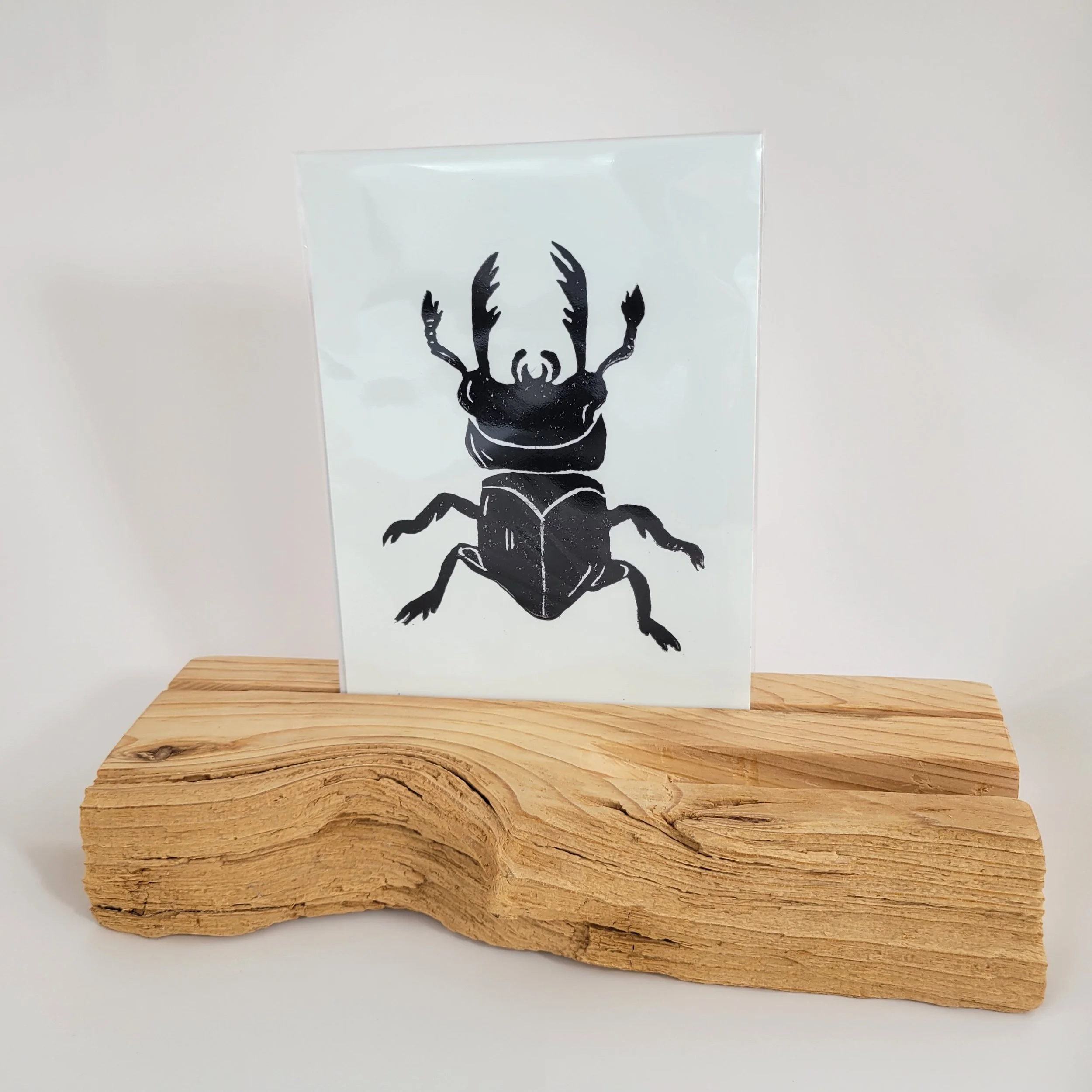 Stag Beetle Print
