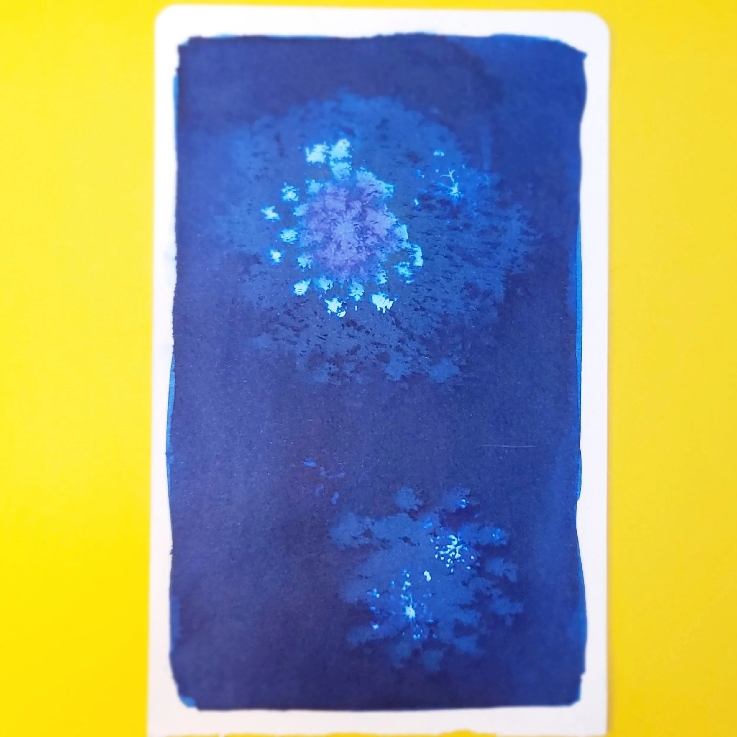 Cyanotype Original Artwork - Navy Floral Bursts