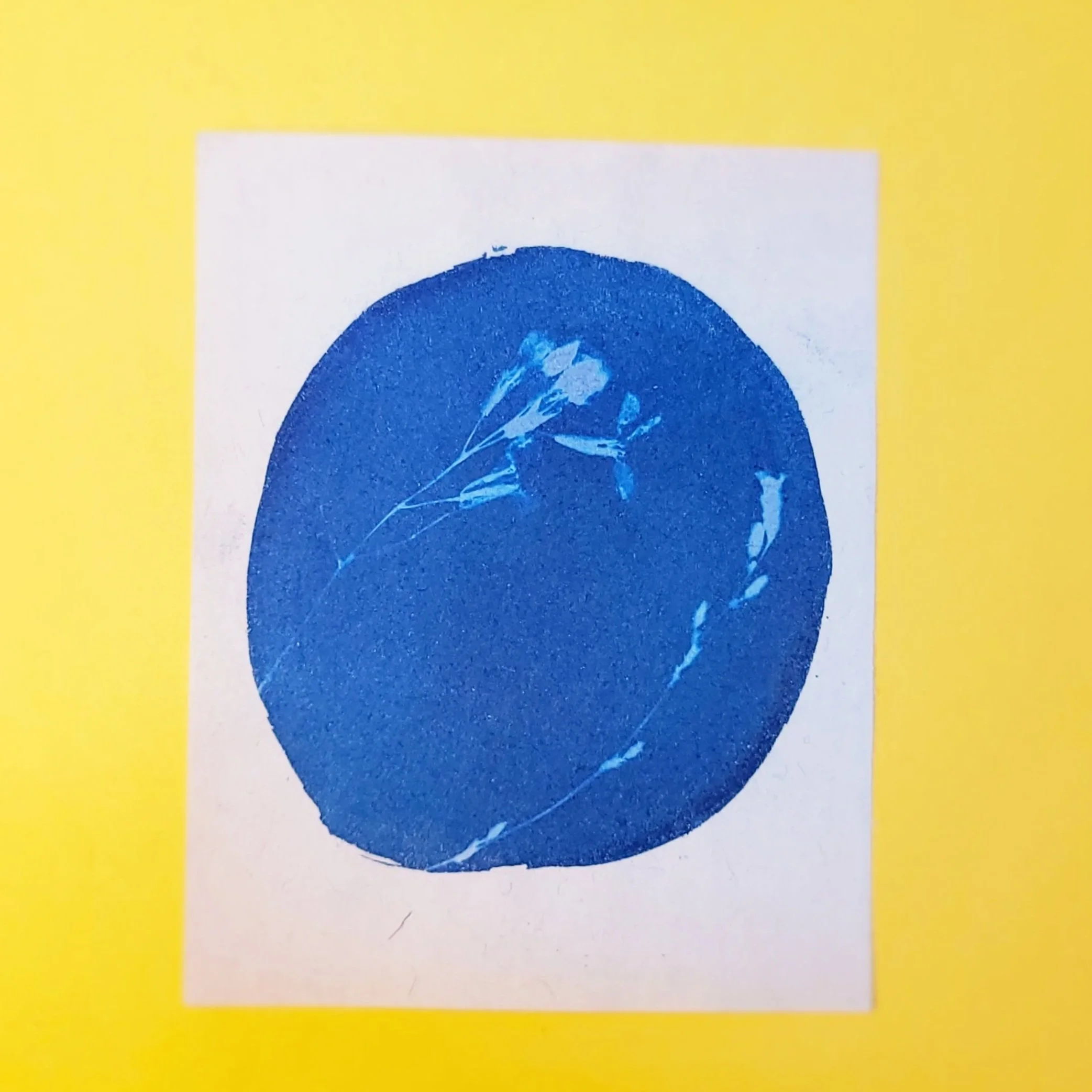 Cyanotype Original Artwork - Flower Stem Circle