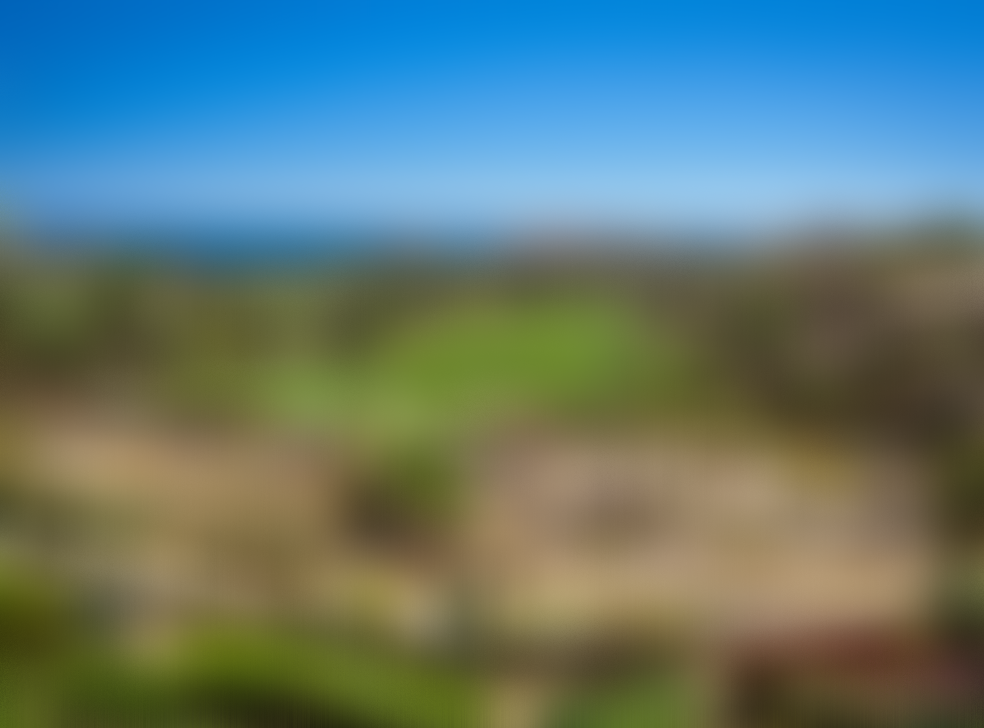 Bird_s Eye Views.png