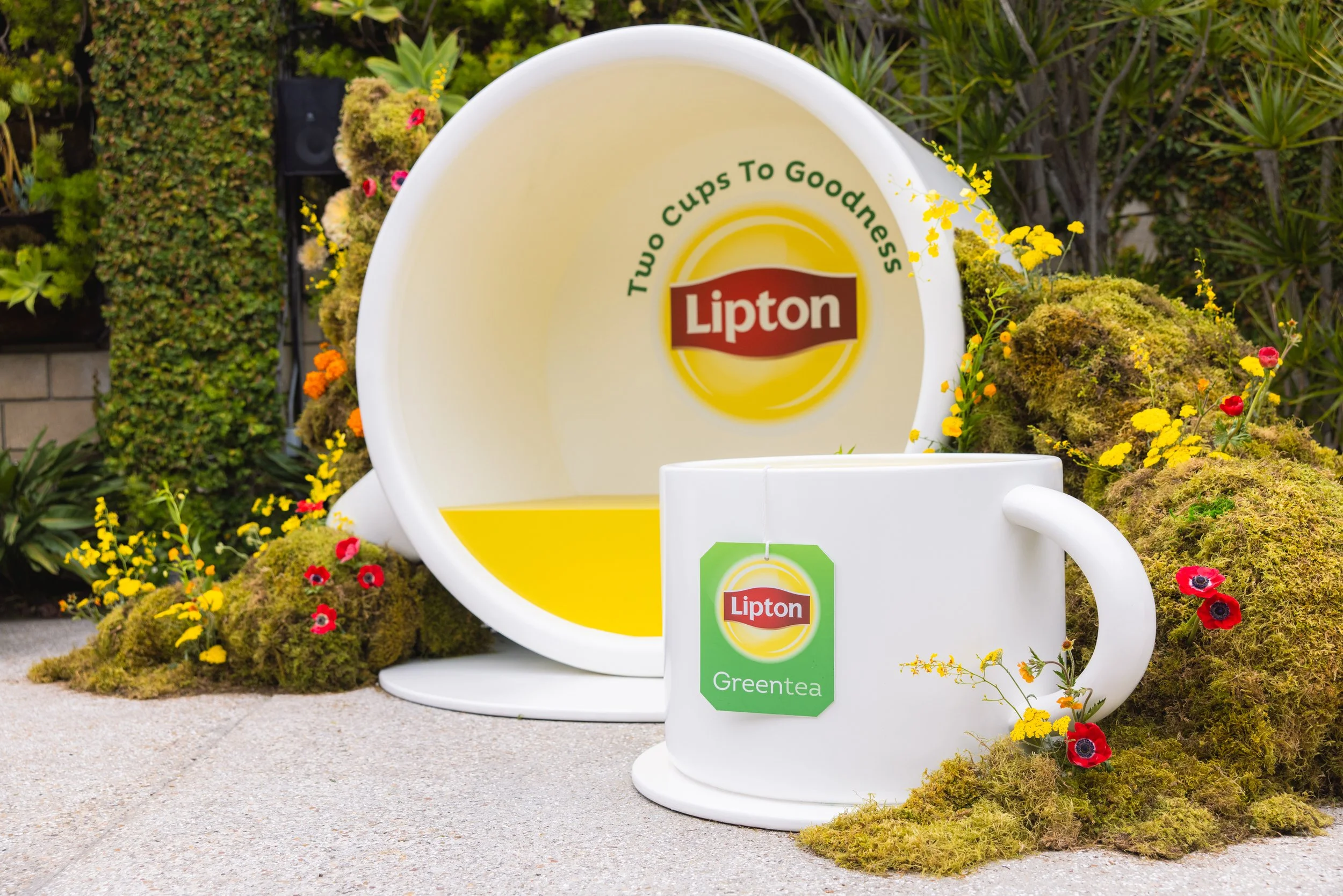 HAPPYMONDAY_LIPTON-7357.jpg