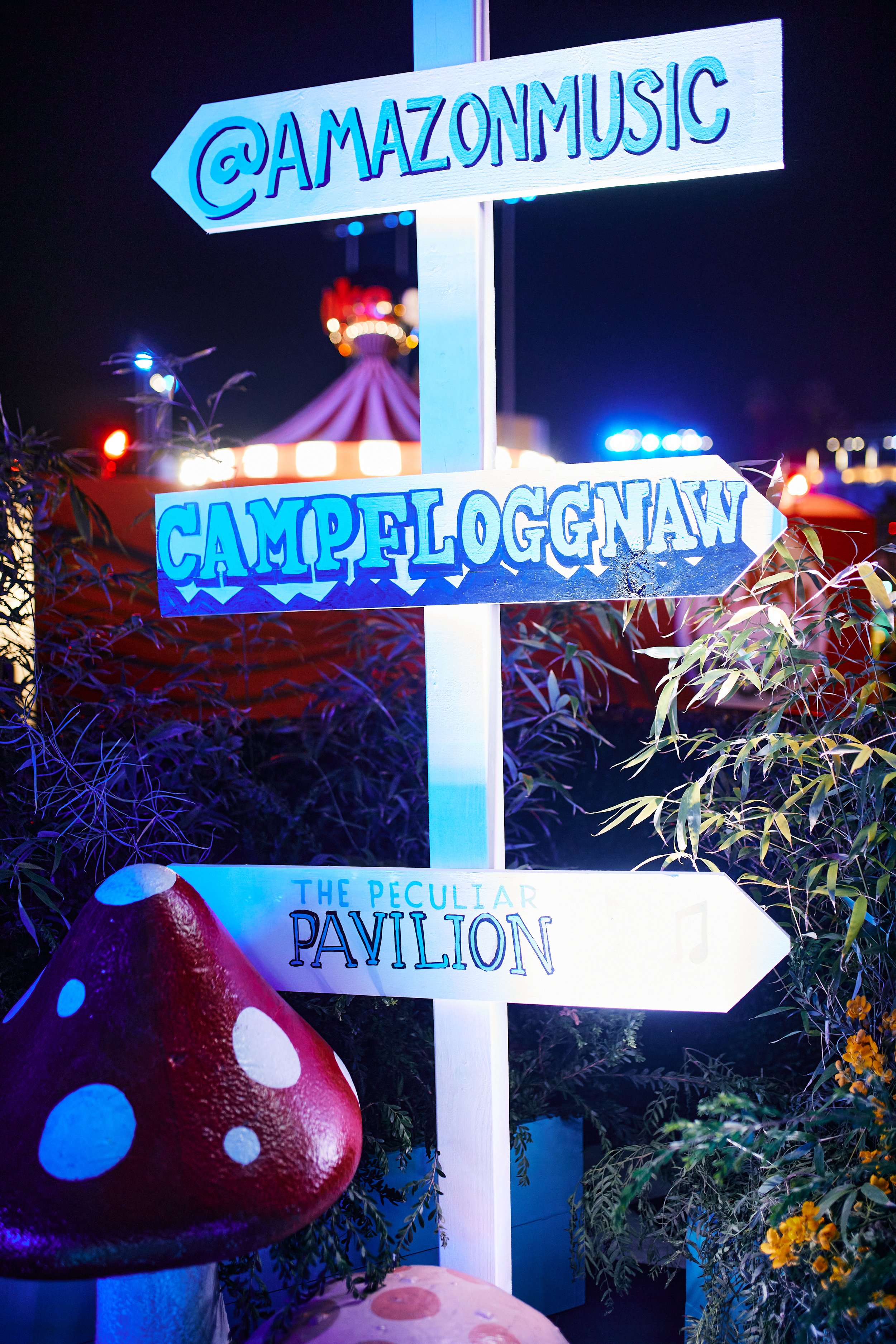 Amazon Flog Gnaw 36.jpg