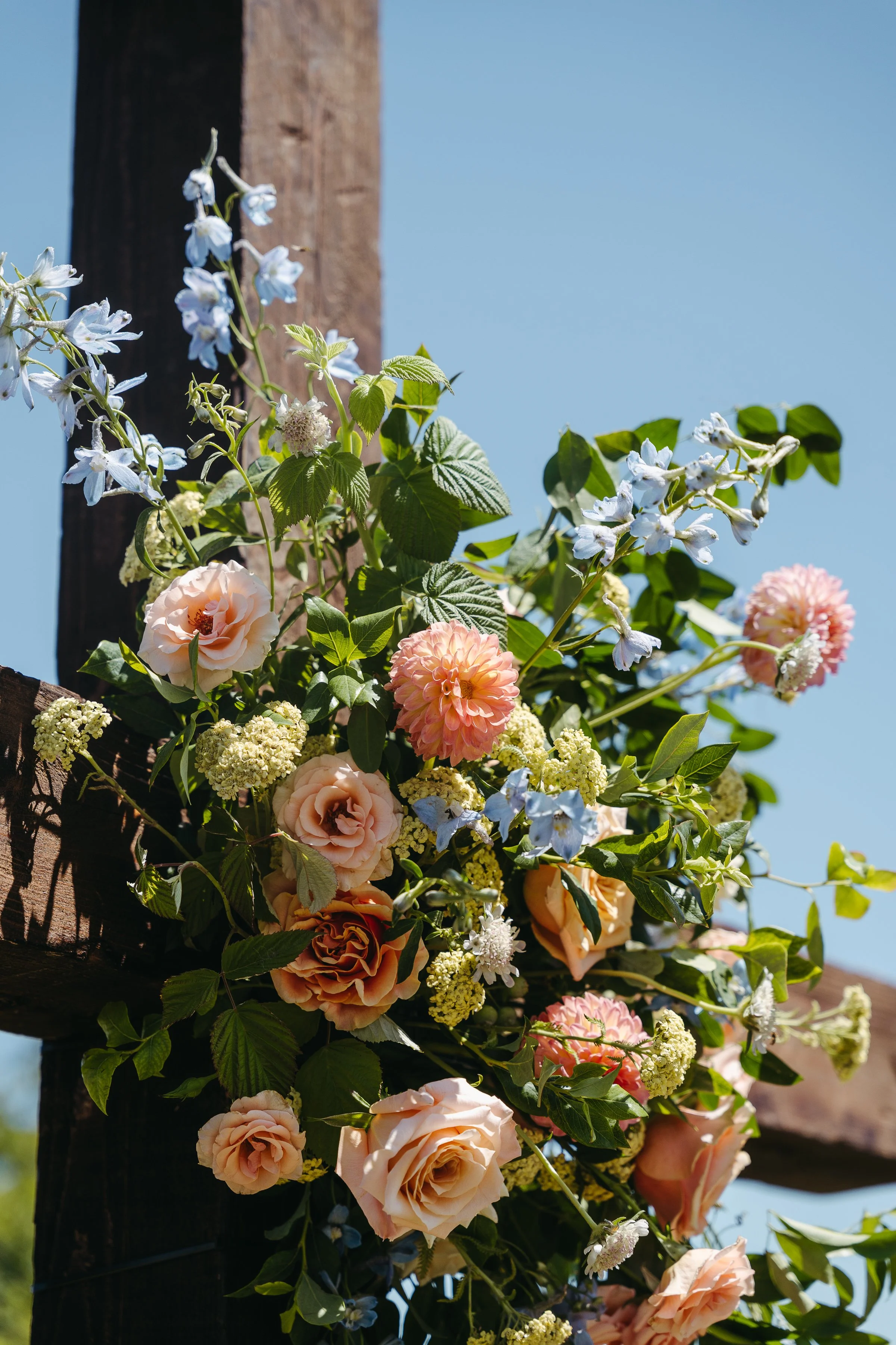 BRANDENLEIONPHOTO_TheFerrises-076 - Copy.jpg