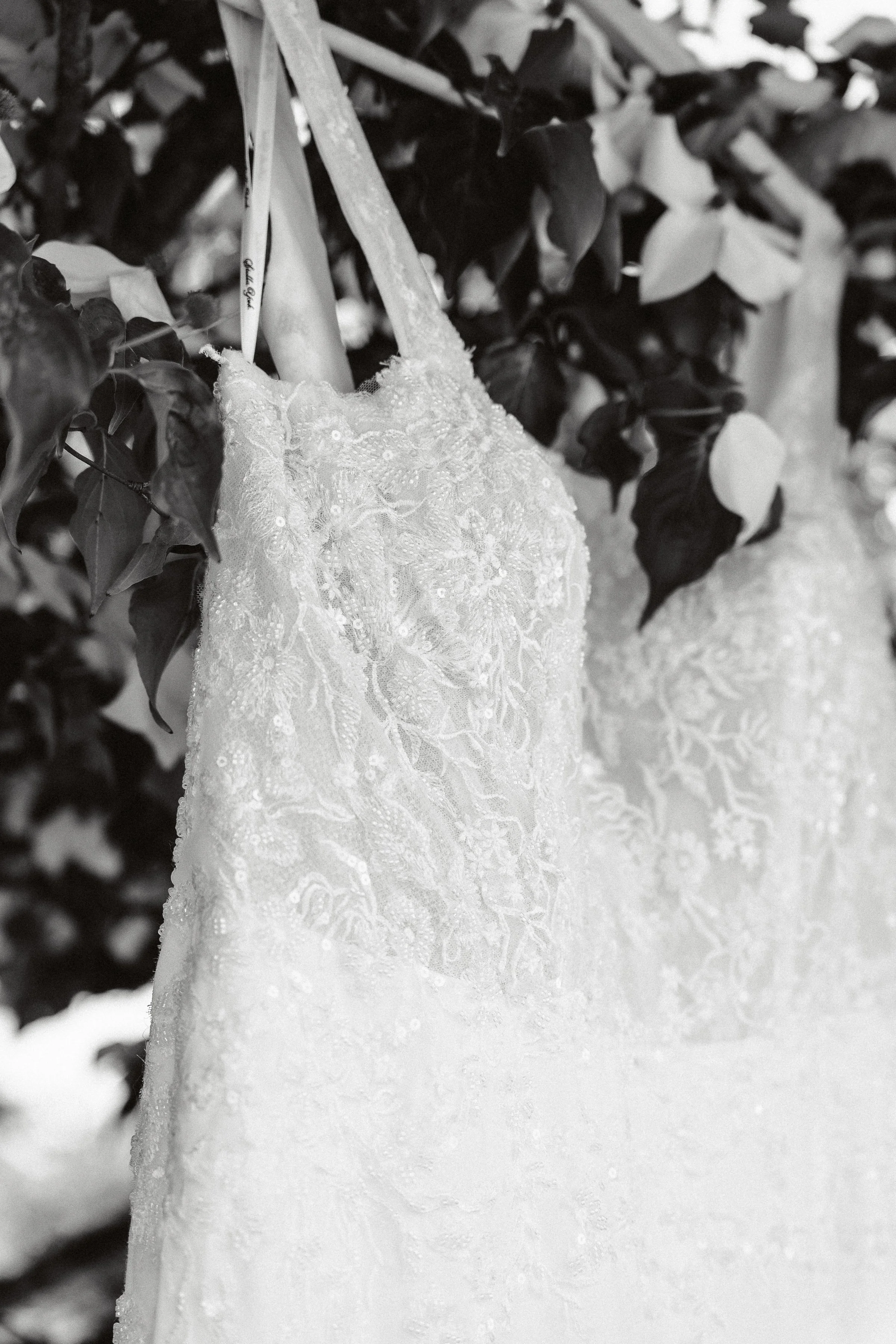 BRANDENLEIONPHOTO_TheFerrises-037 - Copy.jpg