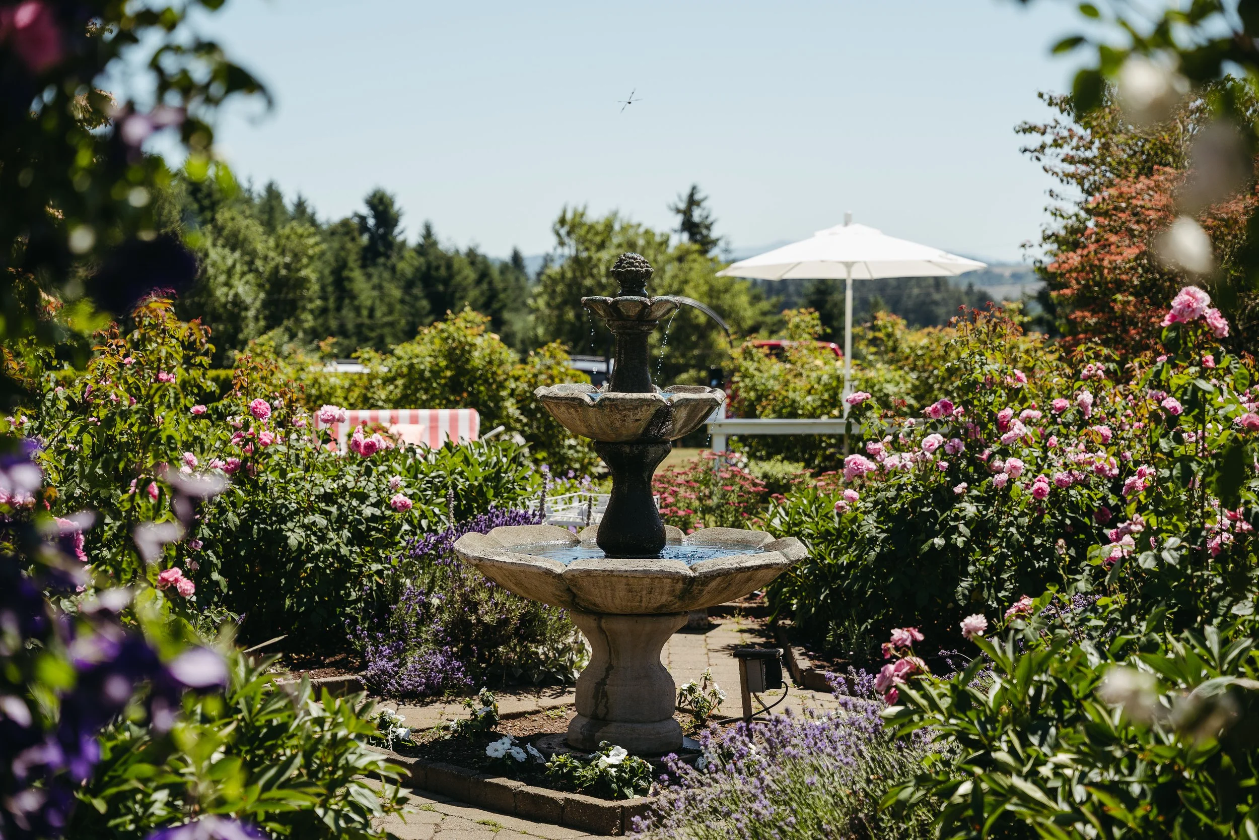 BRANDENLEIONPHOTO_TheFerrises-039 - Copy.jpg