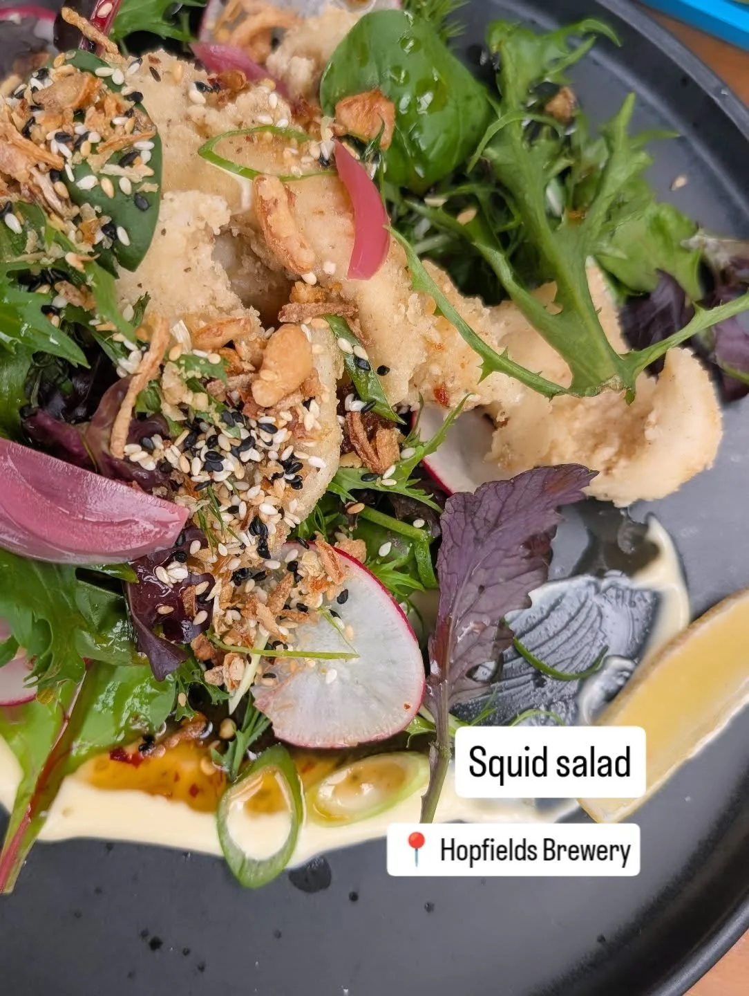 Summer lunch @hopfields_brewery 

🐙🥬☀️

#hobarteats #margatetasmania #tassiefood #hobartlife #hopfields