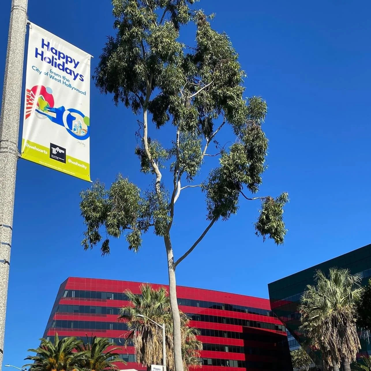 Palm trees and a eucalyptus tree in front of red and black office buildings, with a "Happy Holidays" banner from West Hollywood.