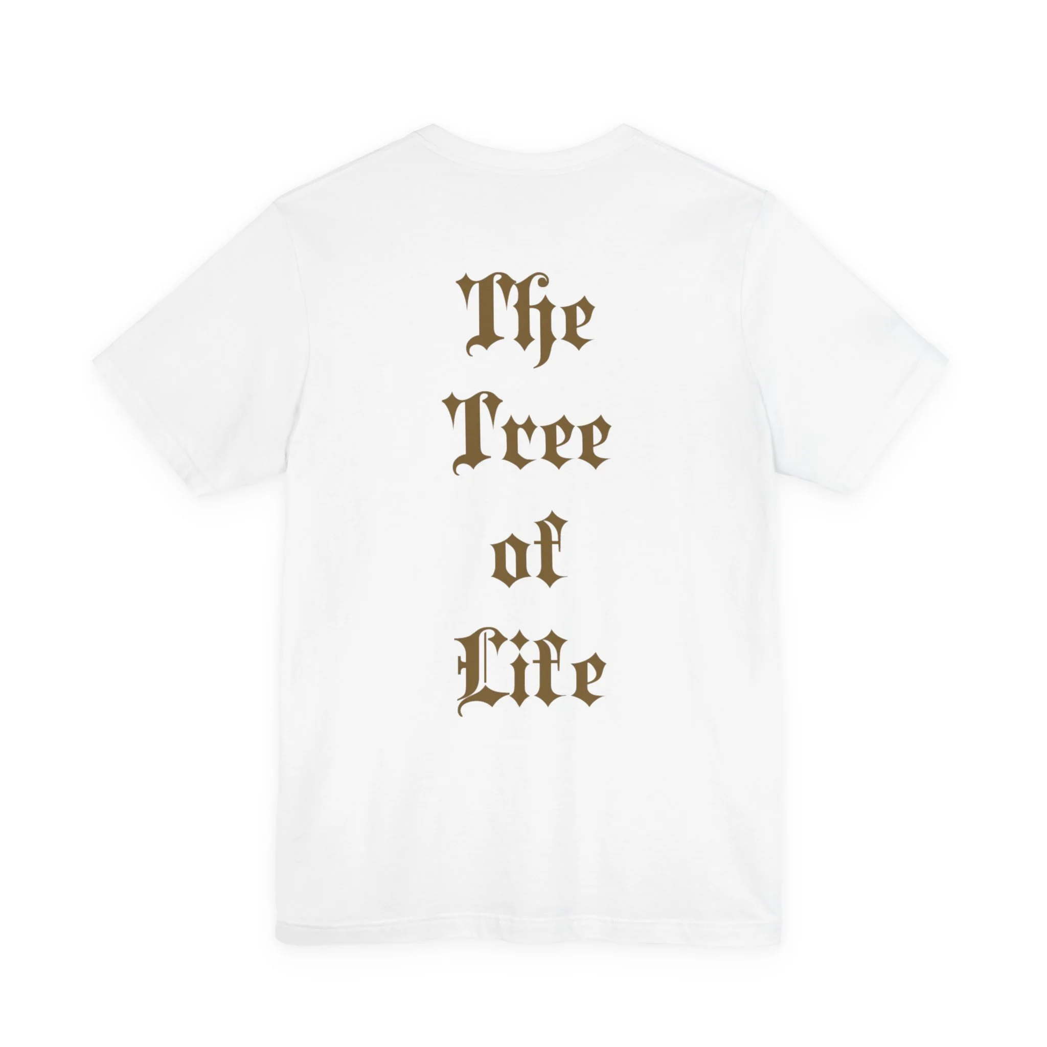 8234cccd1b54ecb4456a233e5e246358