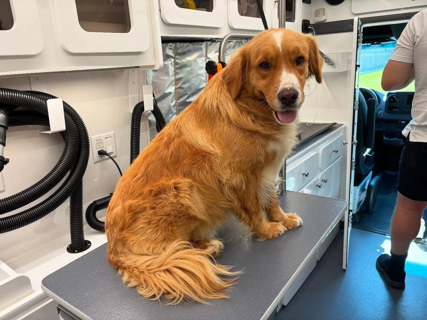 Oakley had a bit of a makeover this past week - nice and cool for the summer!