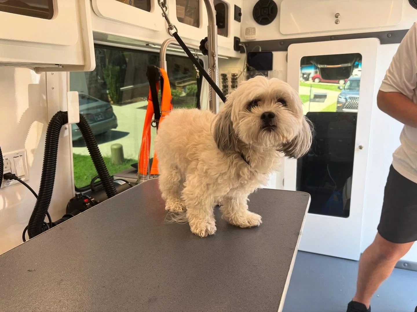 So nice to meet you today, Mia!