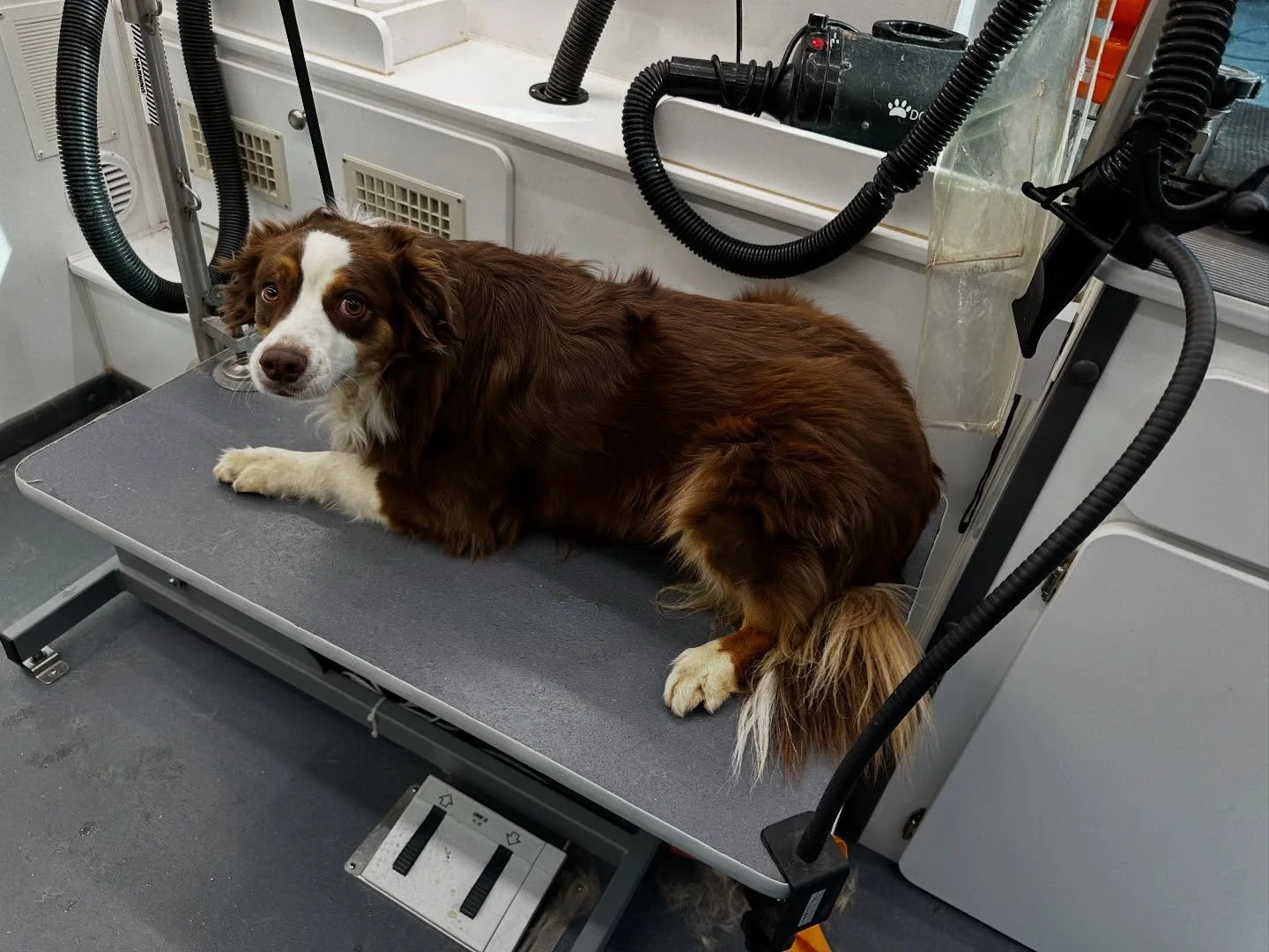 Some baths from this past week 😍