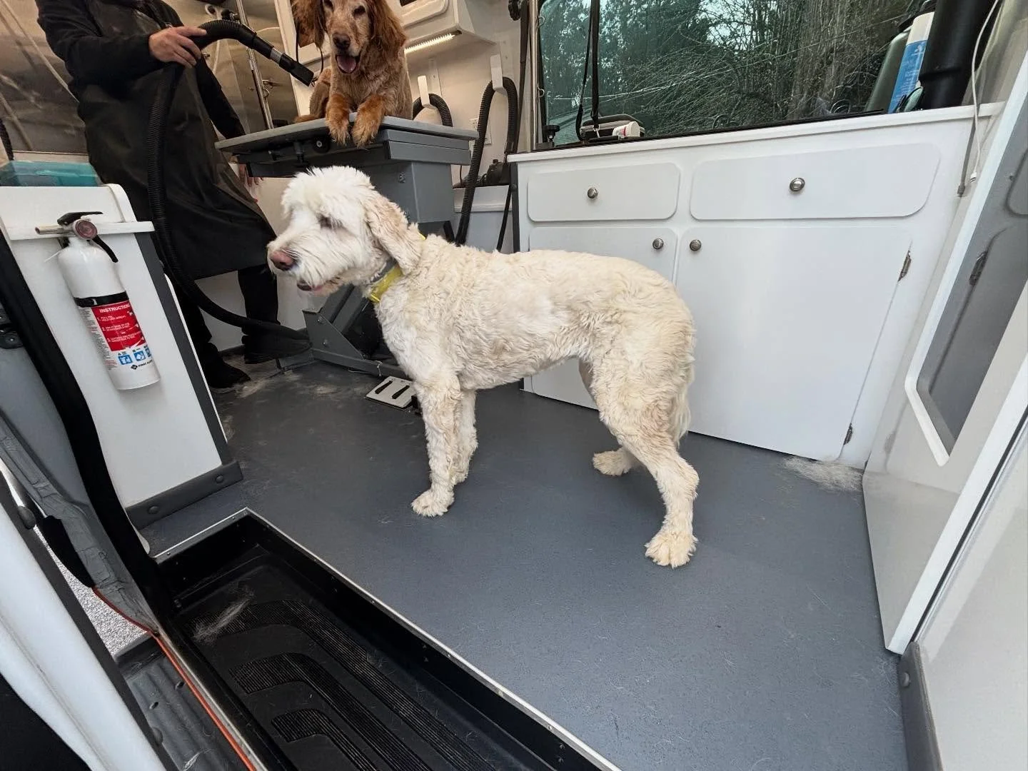 Look at all of these cuties 🥰🐾