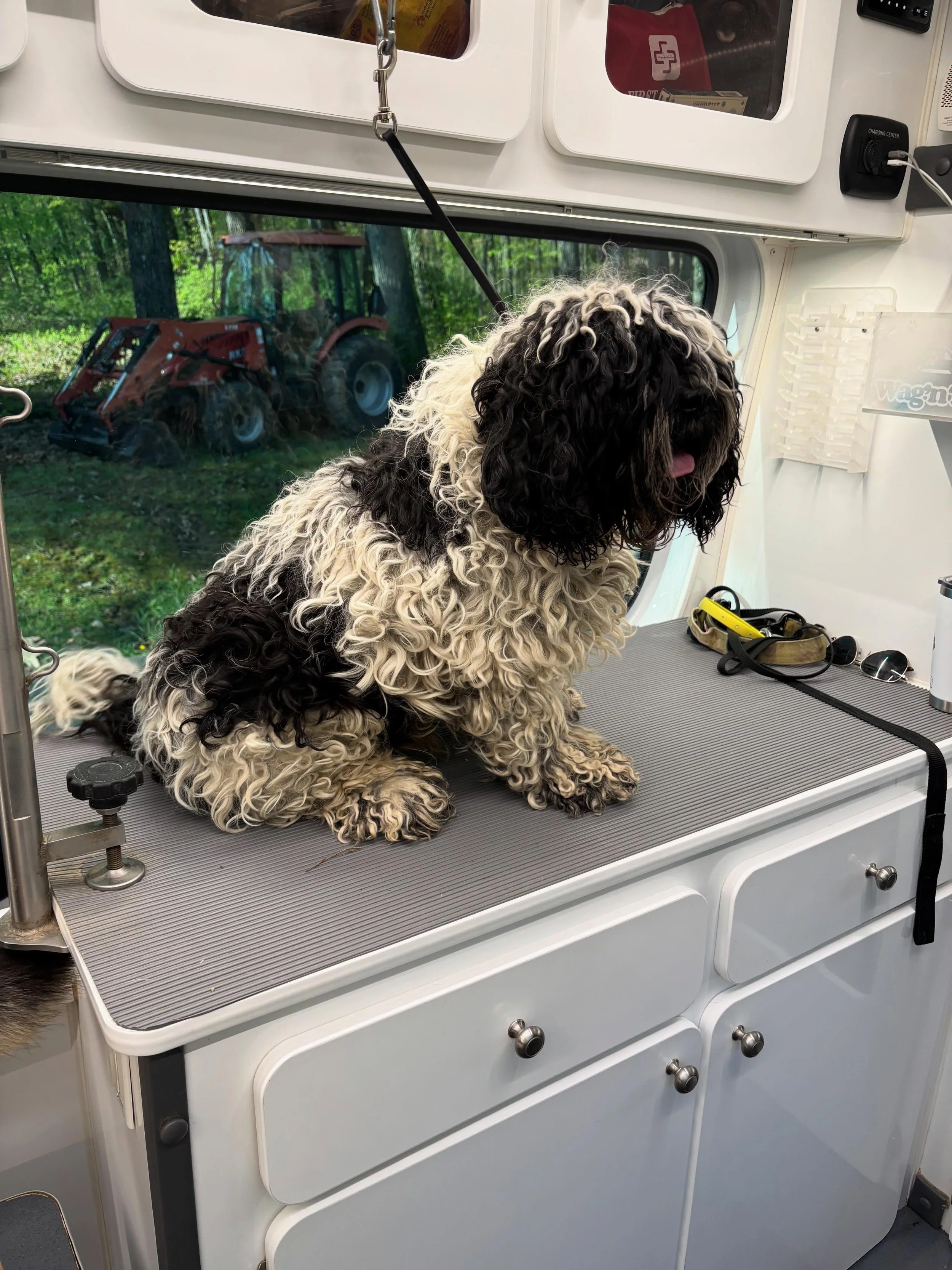 Oreo hasn&rsquo;t seen us in a while, so we fixed him up with a nice summer cut, and made sure to reschedule when we were done! 🐶☀️